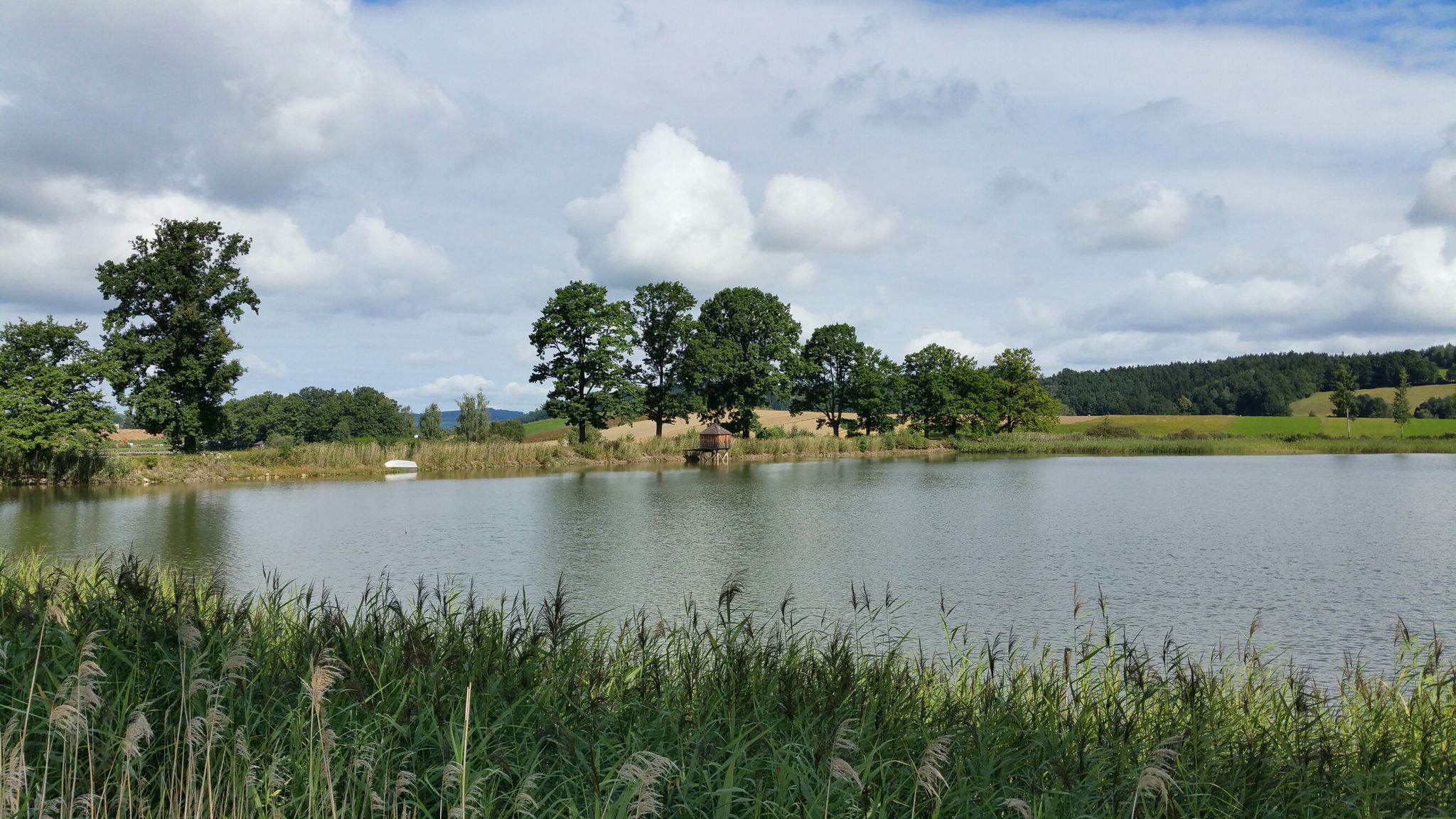 Altweitraer Teich