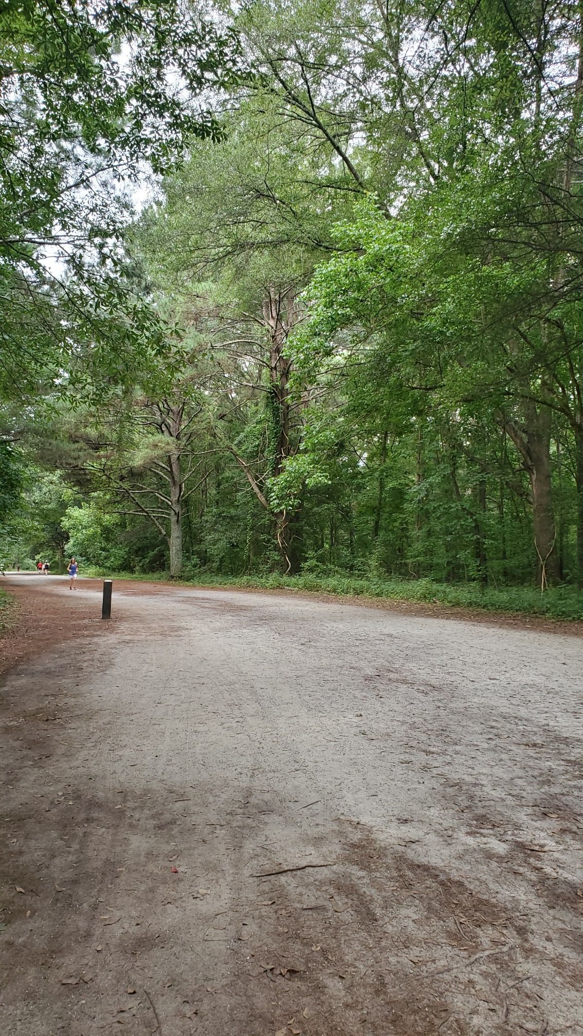 Wide dirt path through a dense green forest with distant cyclists. - Cochran Shoals Trail