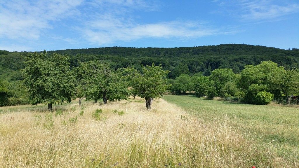 Bergstrasse bei Malchen