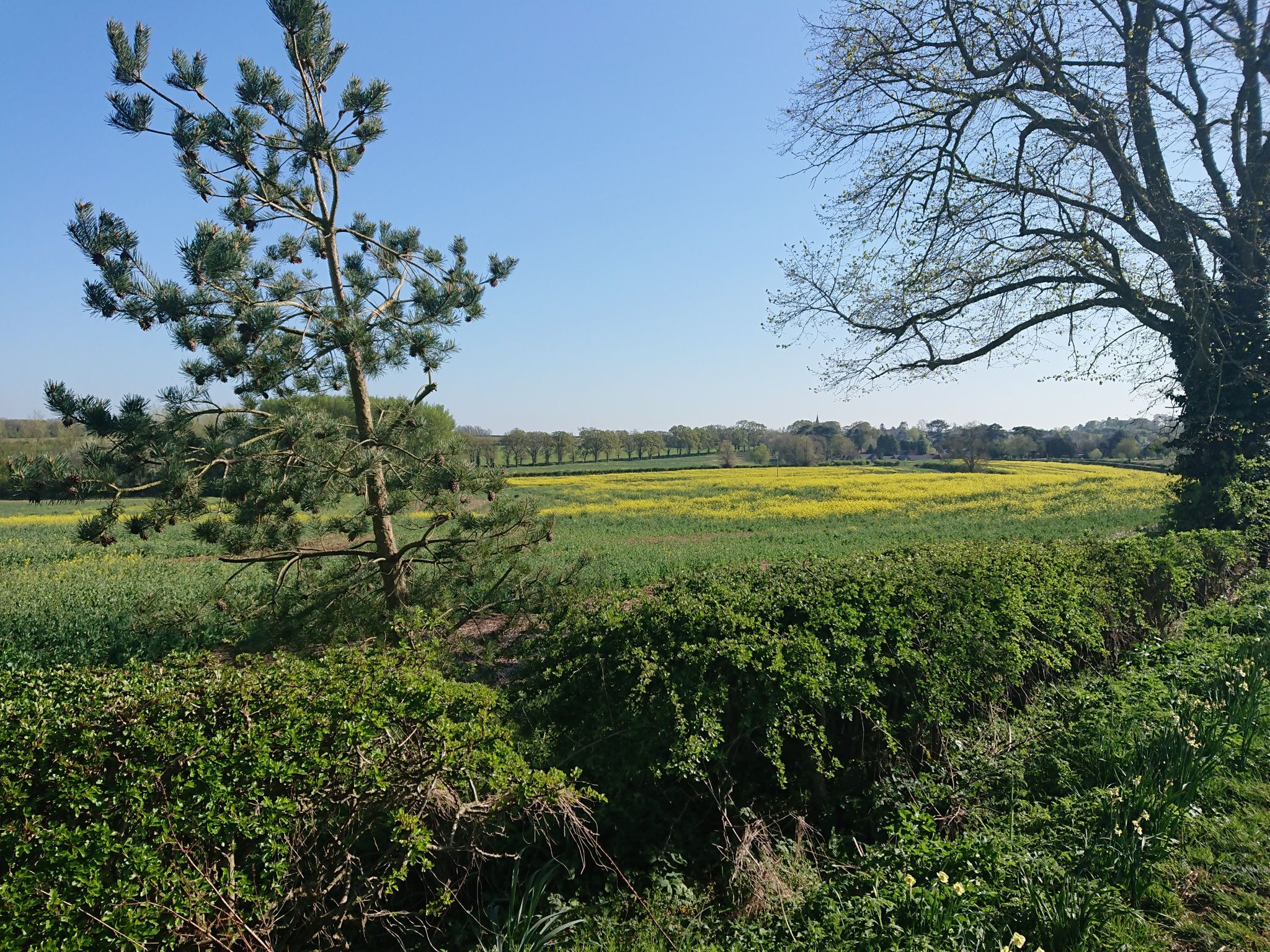 Littlr Brington 