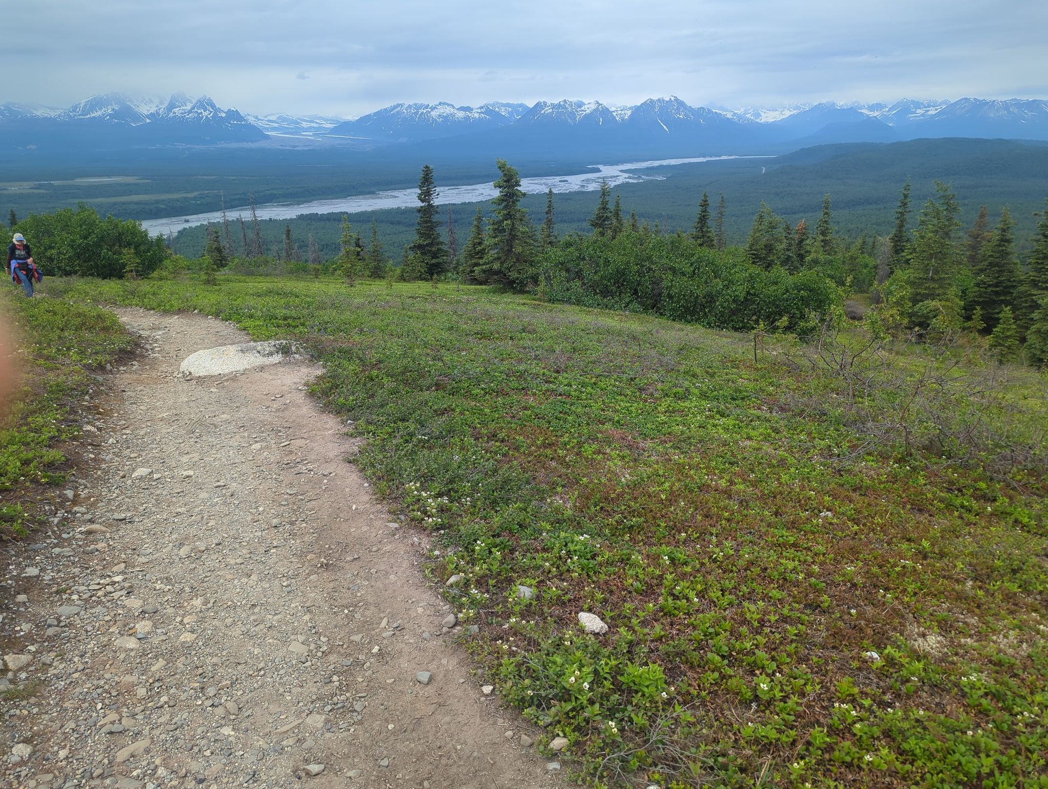 above the tree line