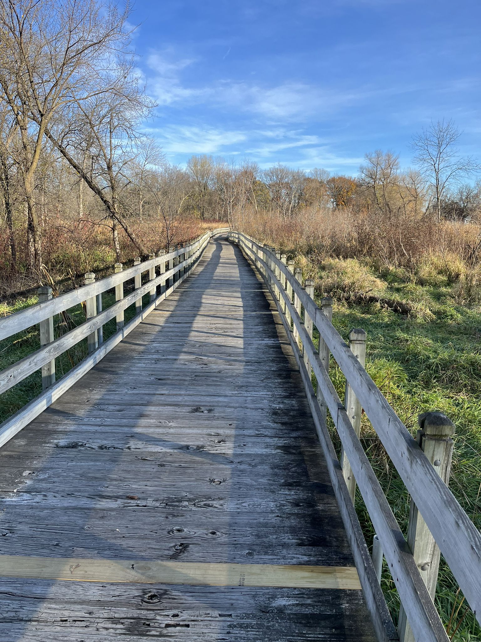 Long wooden boardwalk with railings, surrounded by bare trees under a blue sky. - Rice Creek Chain of Lakes Park – Sunken Lakeside Singletrack loop from Shenandoah Park