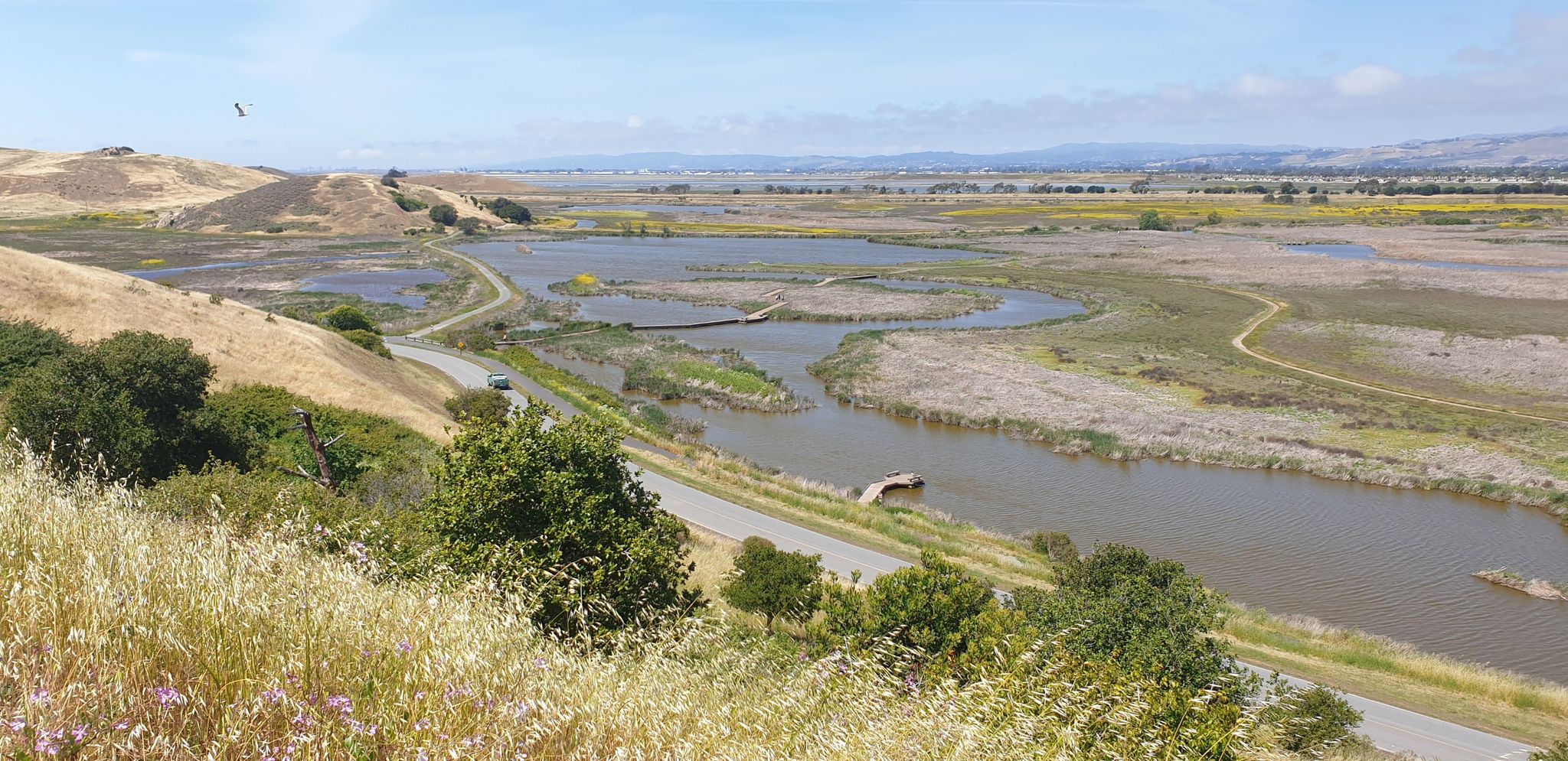 Elevated view of a road winding through wetlands with water and hills. - Coyote Hills Regional Park – Coyote Hills Regional Park loop from Ardenwood Boulevard & Commerce Drive