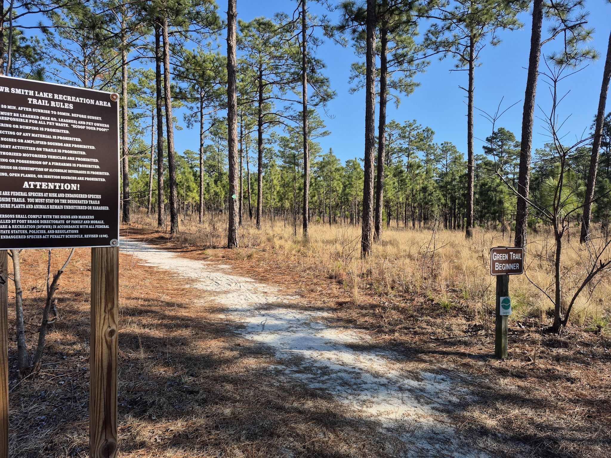 Sunny dirt trail leading into a tall pine forest with dry grass and signs. - Smith Lake Trails