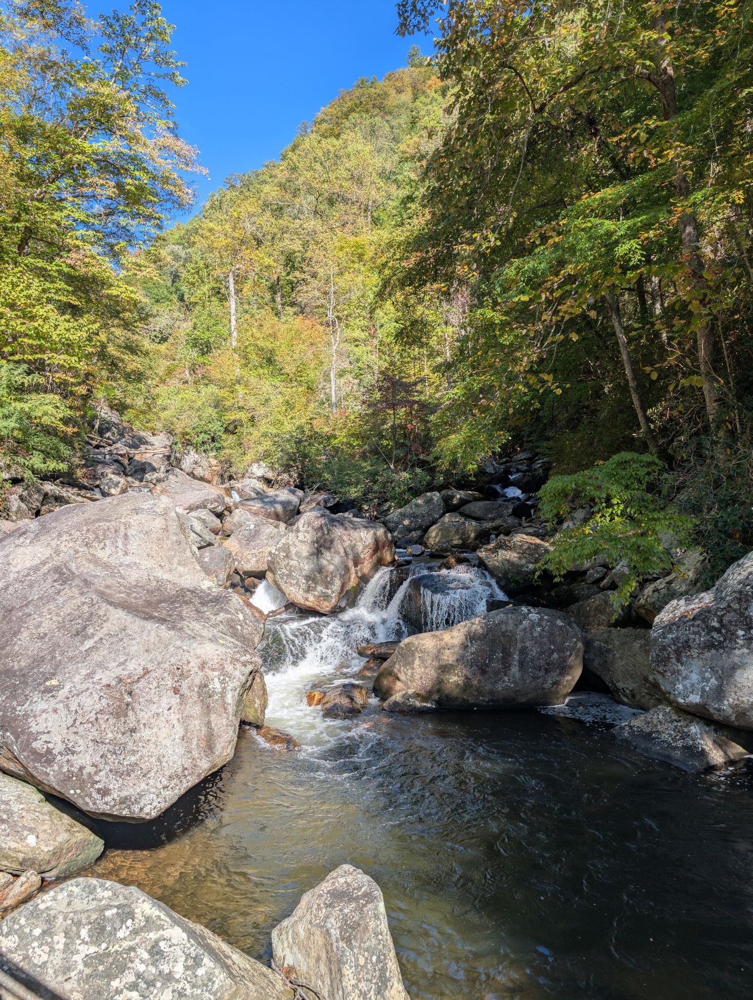 Rocky river with small cascades, surrounded by green trees under a clear blue sky. - Whitewater Falls via Foothills Trail