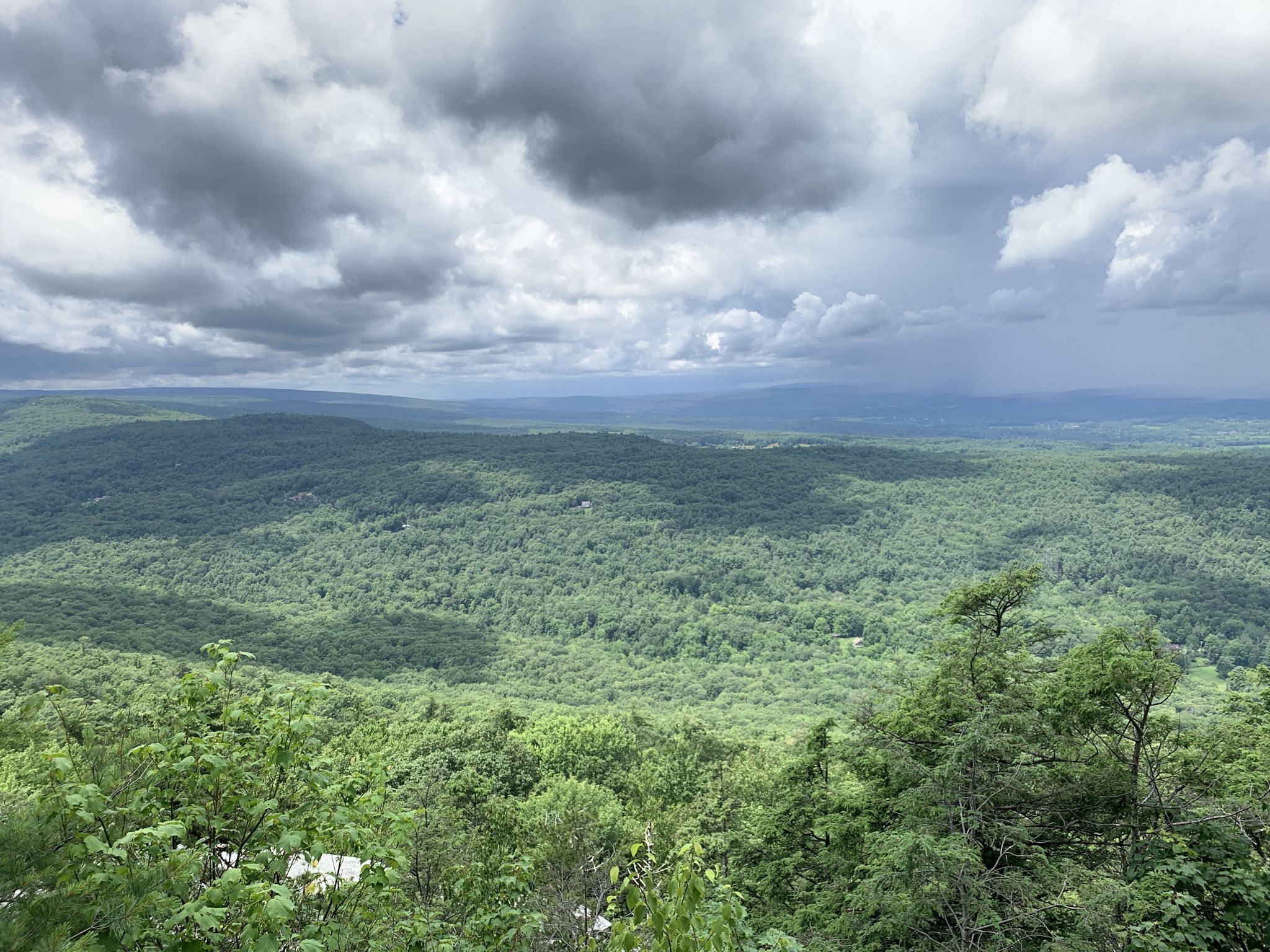 A vast green forest stretches across rolling hills under a cloudy sky. - Undercliff and Overcliff Carriage Roads Loop