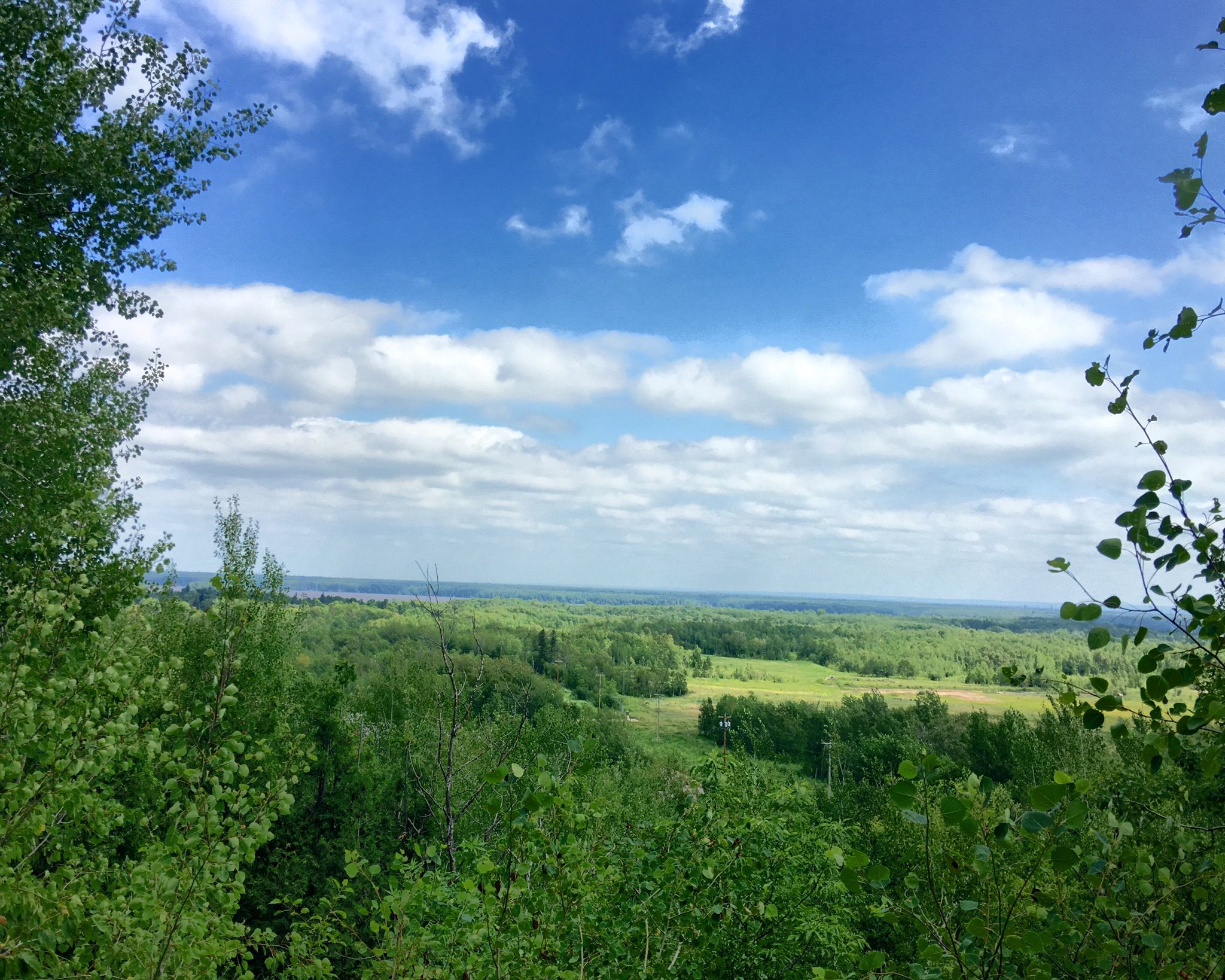 Panoramic view of a vast green forest and fields under a cloudy sky. - Duluth Traverse and Lakewalk Loop
