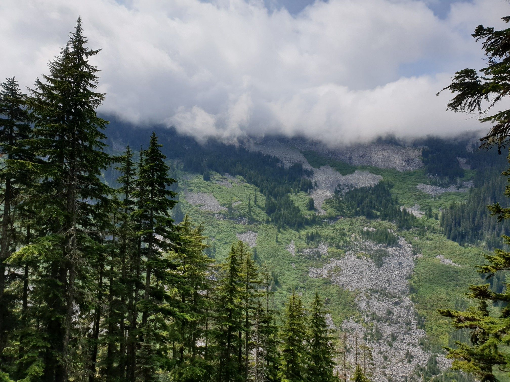 Cloud-covered, rocky, forested mountains with evergreen trees in the foreground. - Snoqualmie Tunnel – Annette Lake loop from Hyak