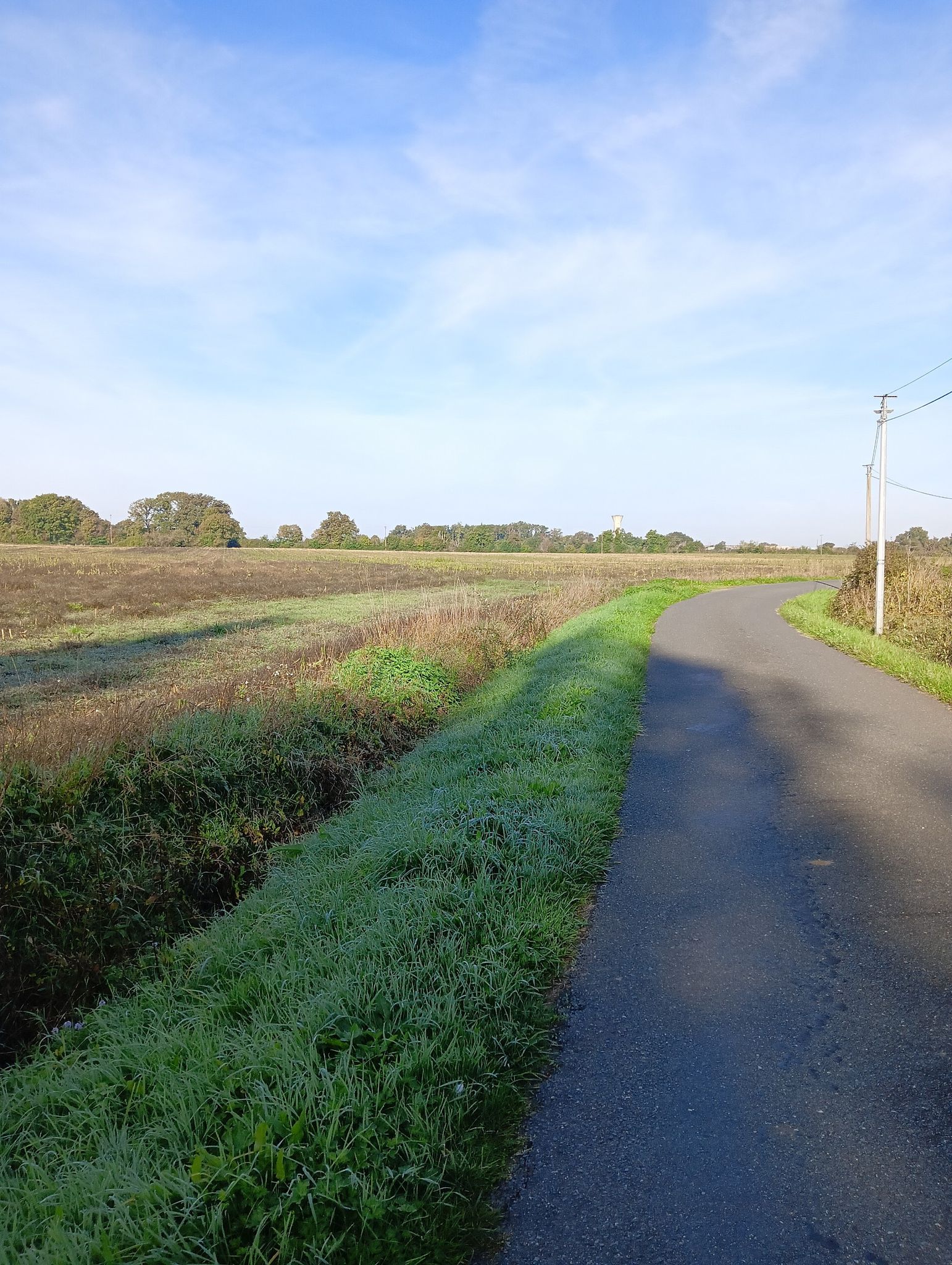 route