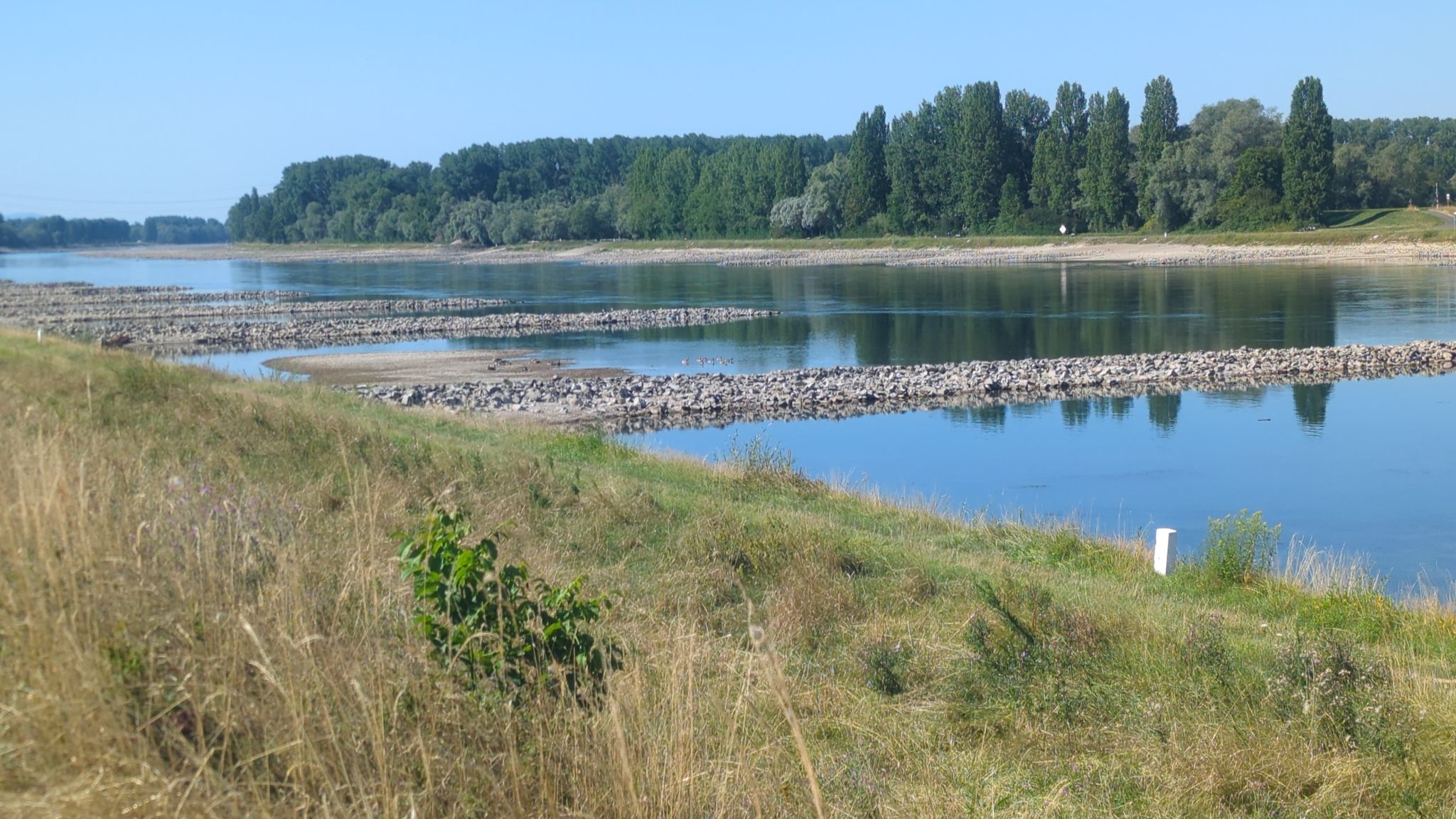 Extremes Niedrigwasser im Rhein