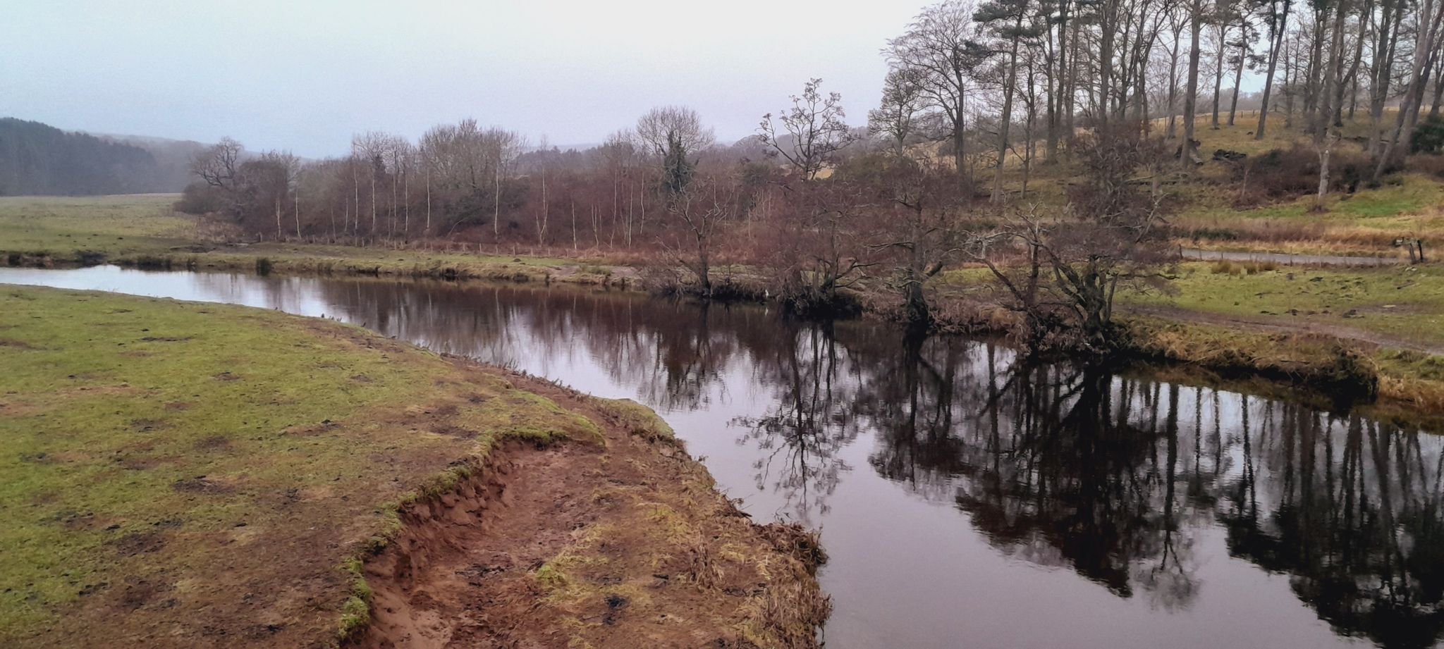 River Coquet looking south west on Pauperhaugh Bridge