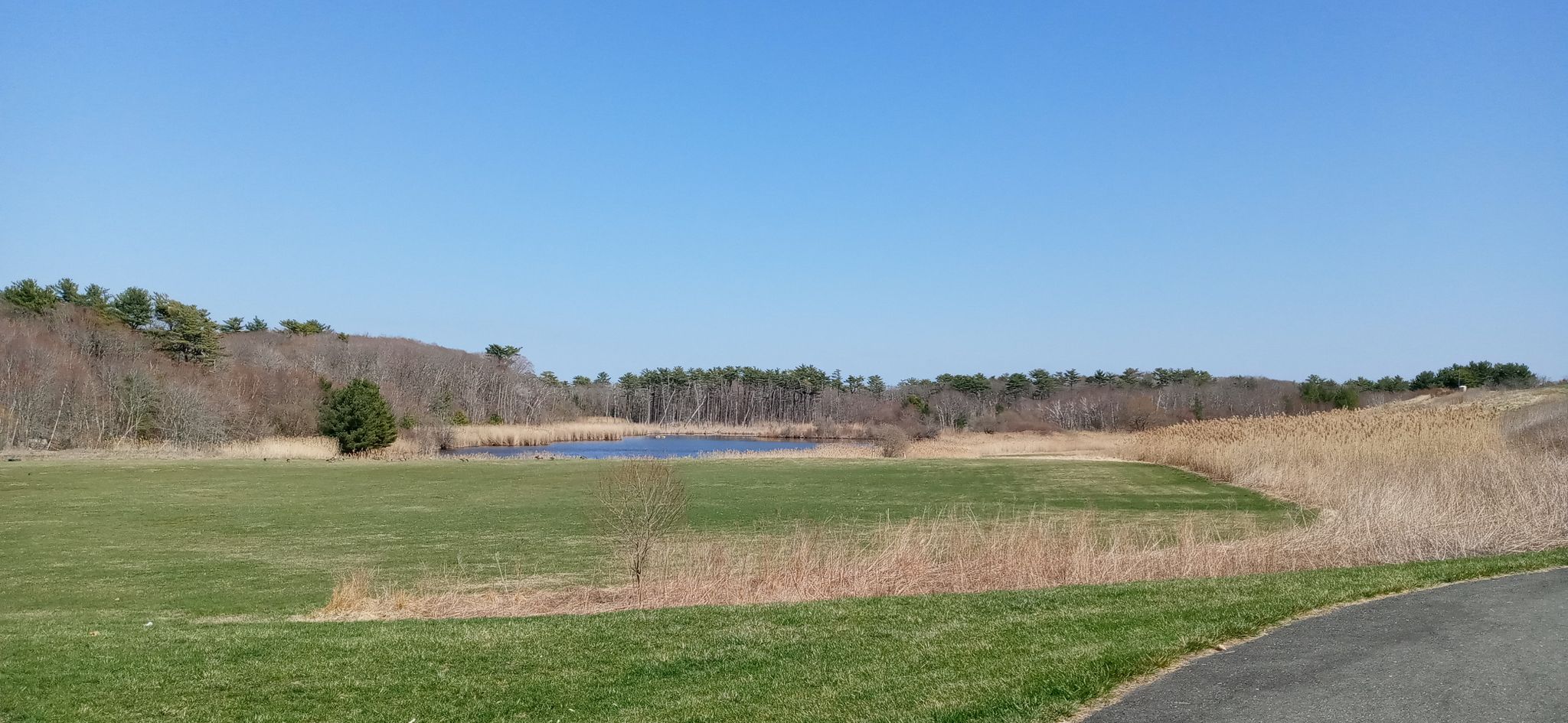 Bright day over a pond surrounded by green and brown fields and distant trees. - Magnolia Woods and Rafes Chasm Trail Loop