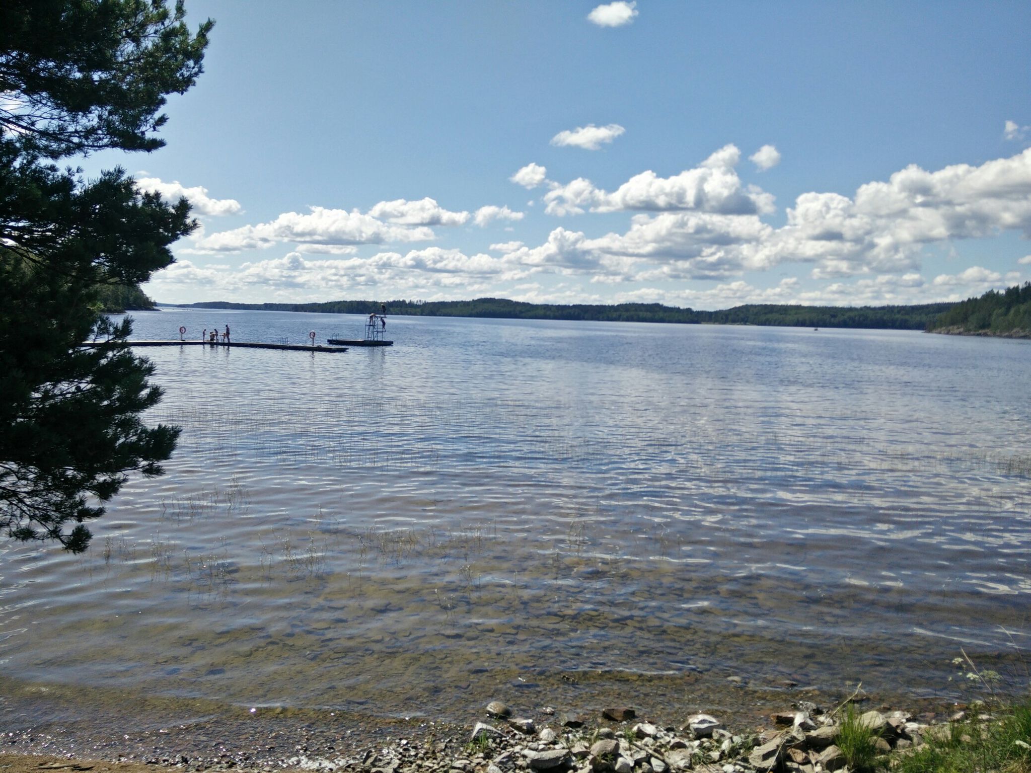 Krakviken