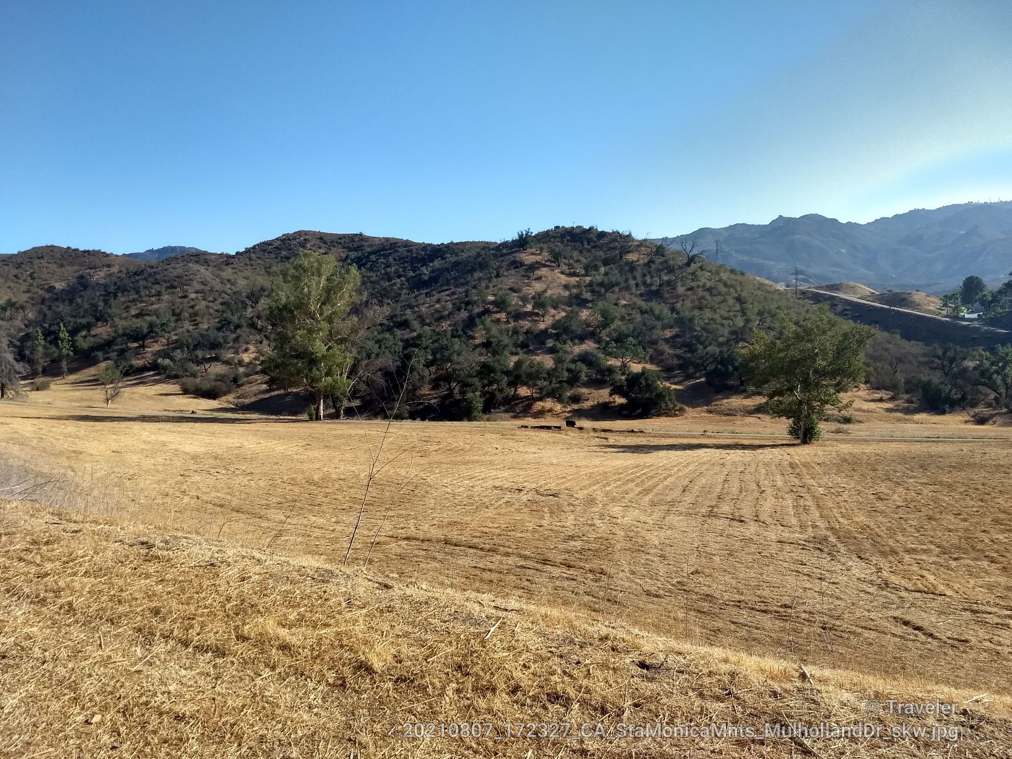 Dry grassy field with scattered trees and distant hills under clear sky. - Mulholland Highway Loop