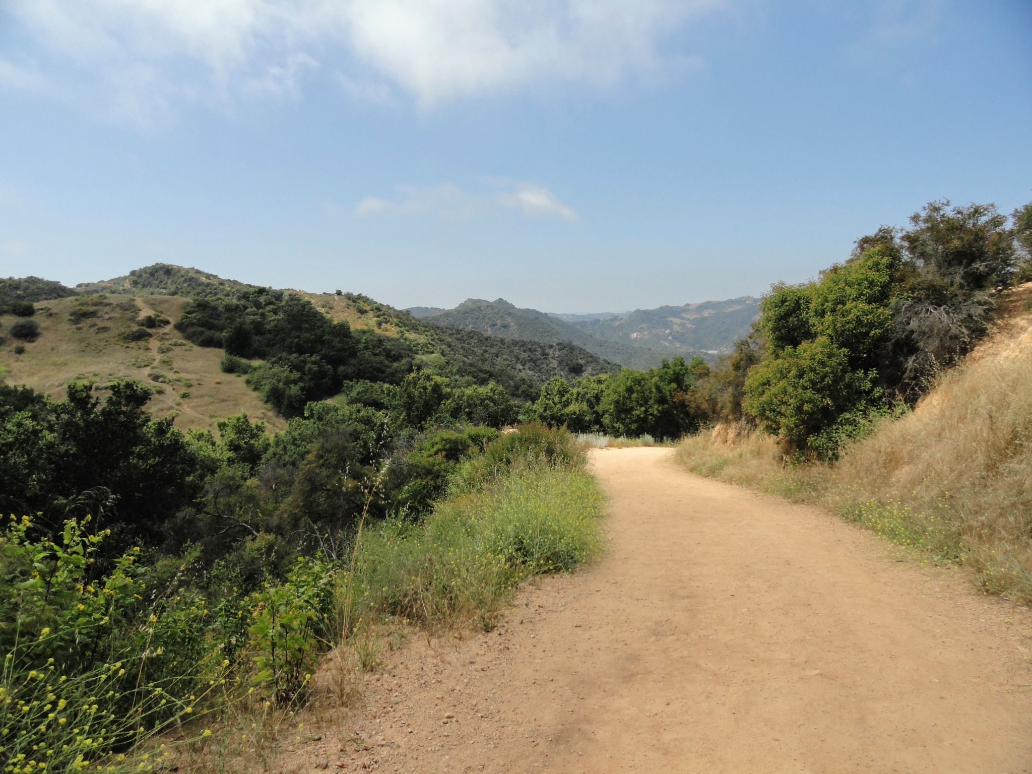 A dirt path winds through sunlit, green and dry hills under a blue sky. - Paseo Miramar Trail