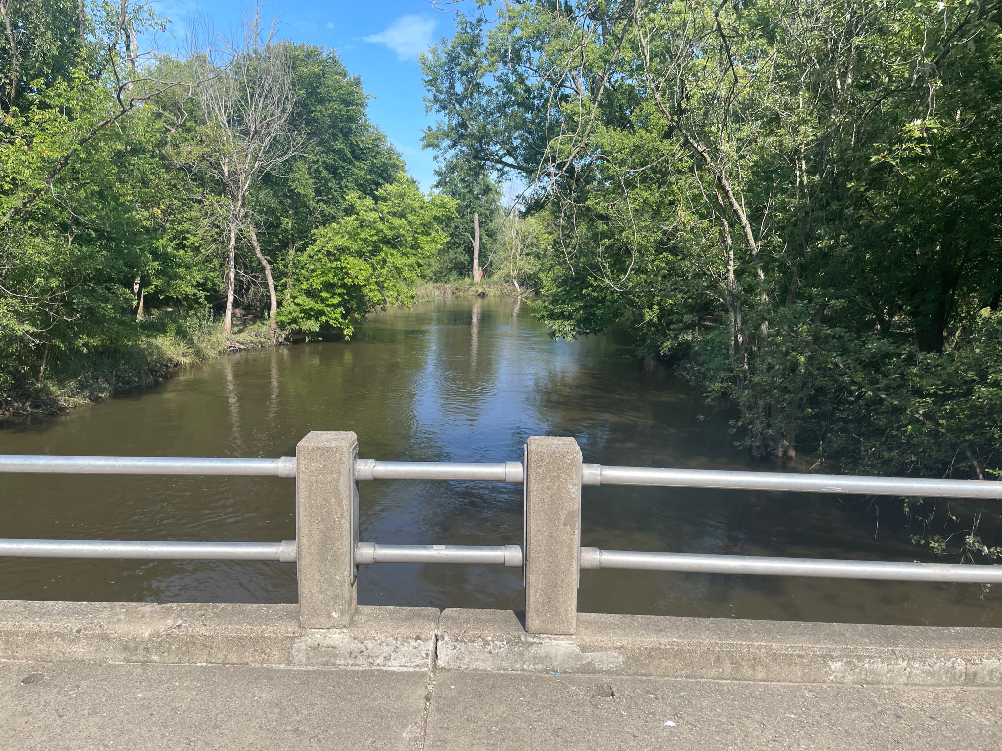 View of a river and green forest from a bridge railing on a sunny day. - Caldwell Woods – Caldwell Woods loop from Edison Park