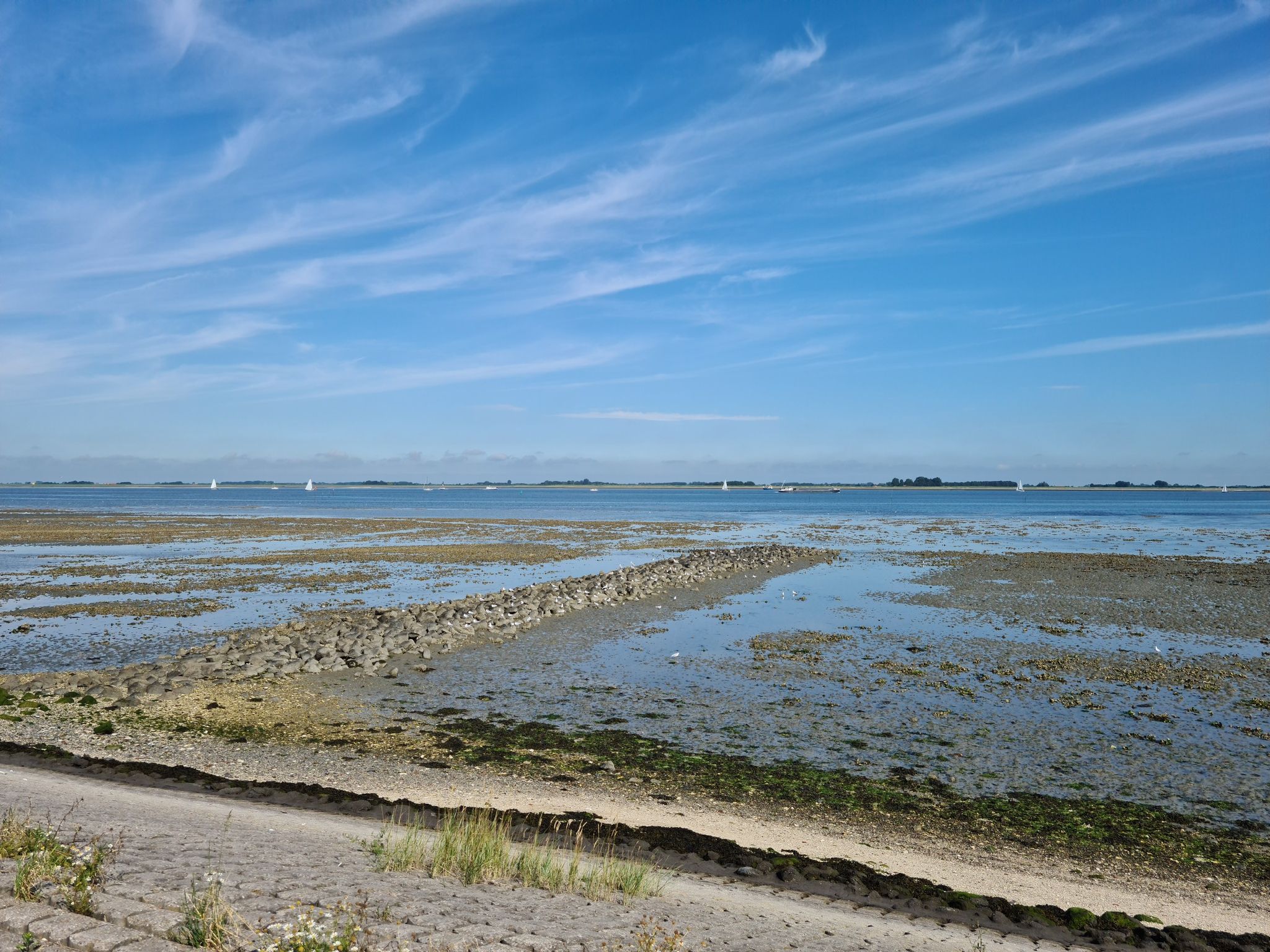 Vogels, vogels, vogels en de heerlijke geur van de zee.