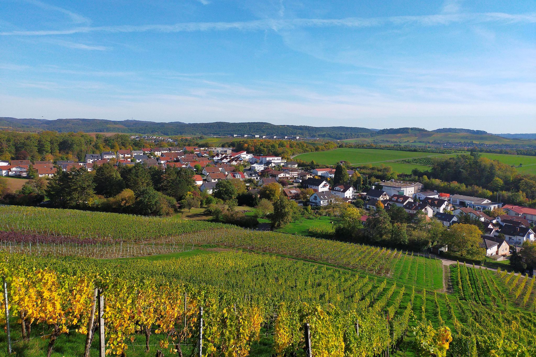 Blick zu den Löwensteiner Bergen