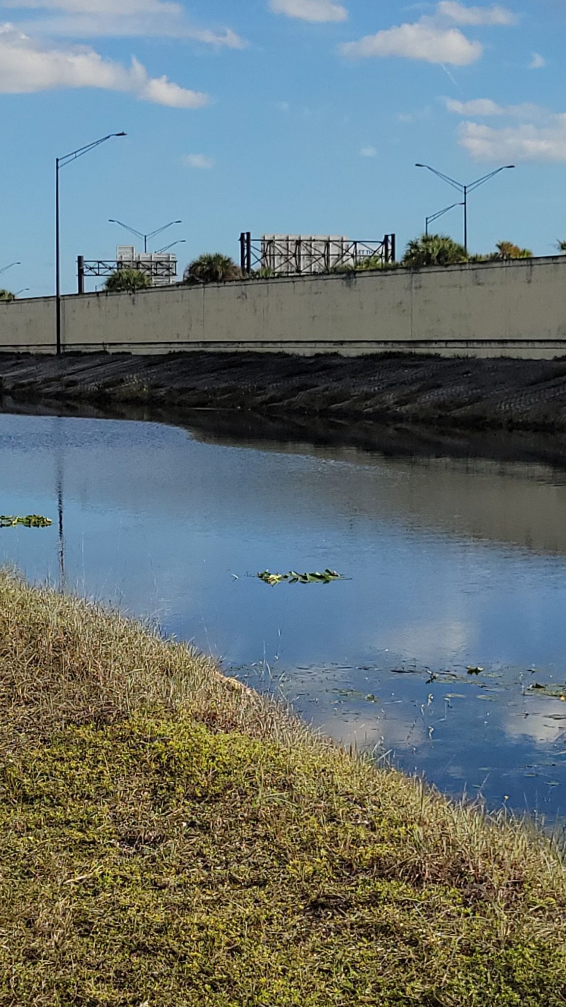 Sunny canal with grassy banks, a concrete wall, and distant road structure. - Hiatus Greenway and New River Greenway Loop
