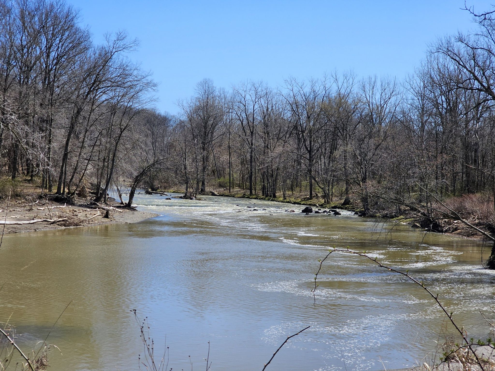 Wide river flowing through a forest of bare trees on a sunny day. - Bridgeway Trail – Black River loop from Black River Reservation