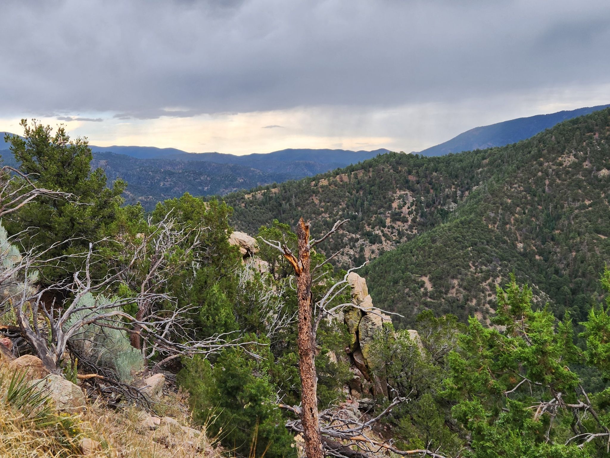 Forested mountain landscape under a cloudy sky, with dead branches in foreground. - Picacho Peak Trail