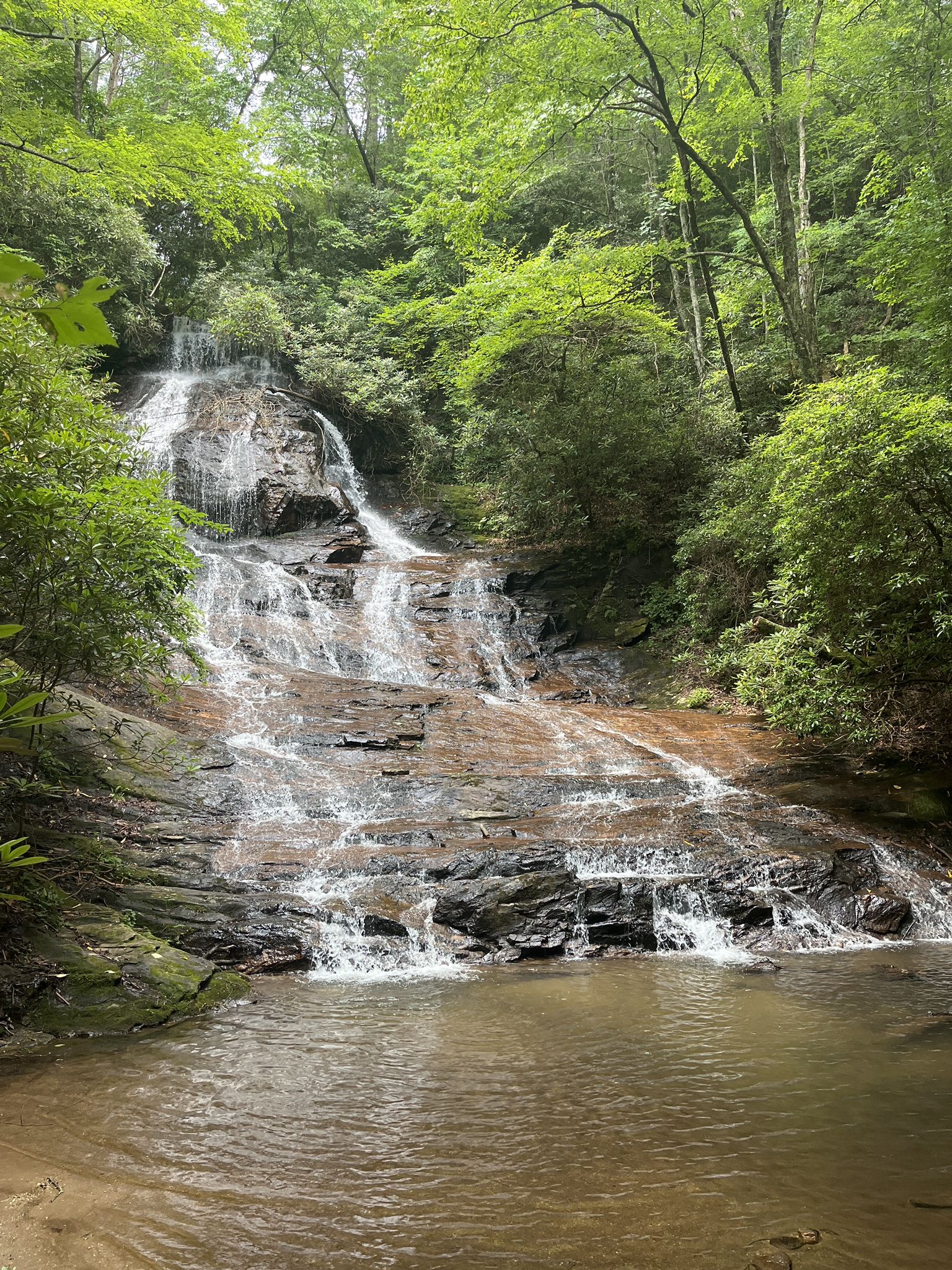 Waterfall cascades over dark rocks into a serene pool, surrounded by lush green forest. - Fall Creek Trail