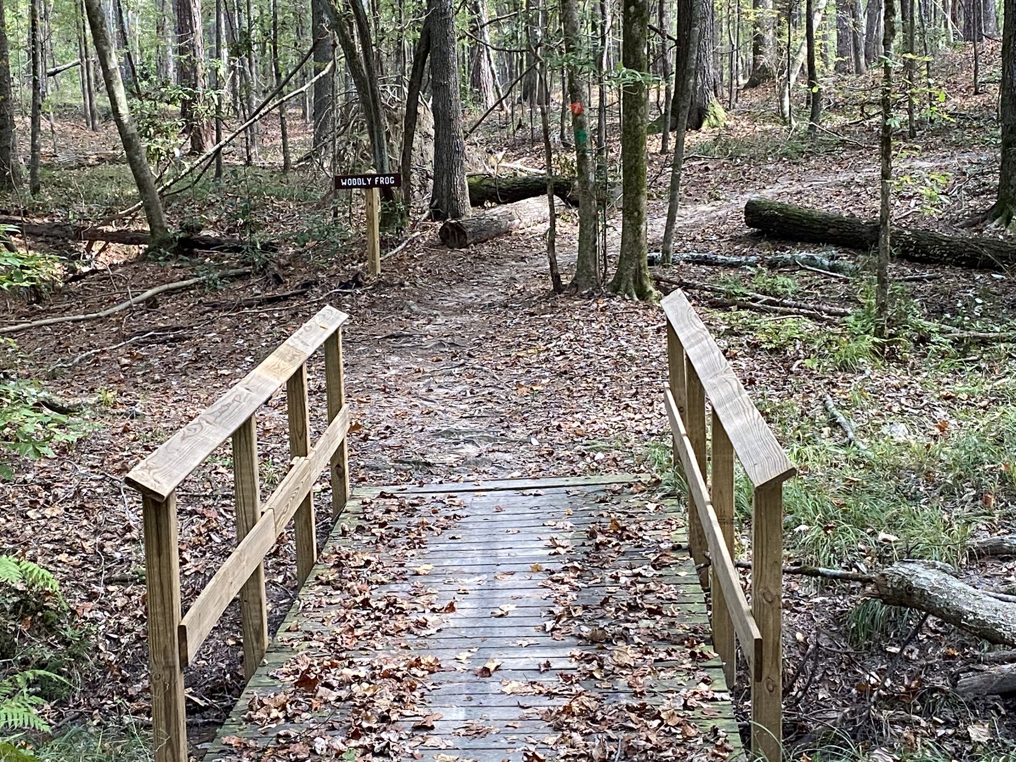 Wooden footbridge covered in leaves on a dirt path through a sunlit forest. - Civil War Hill Trail