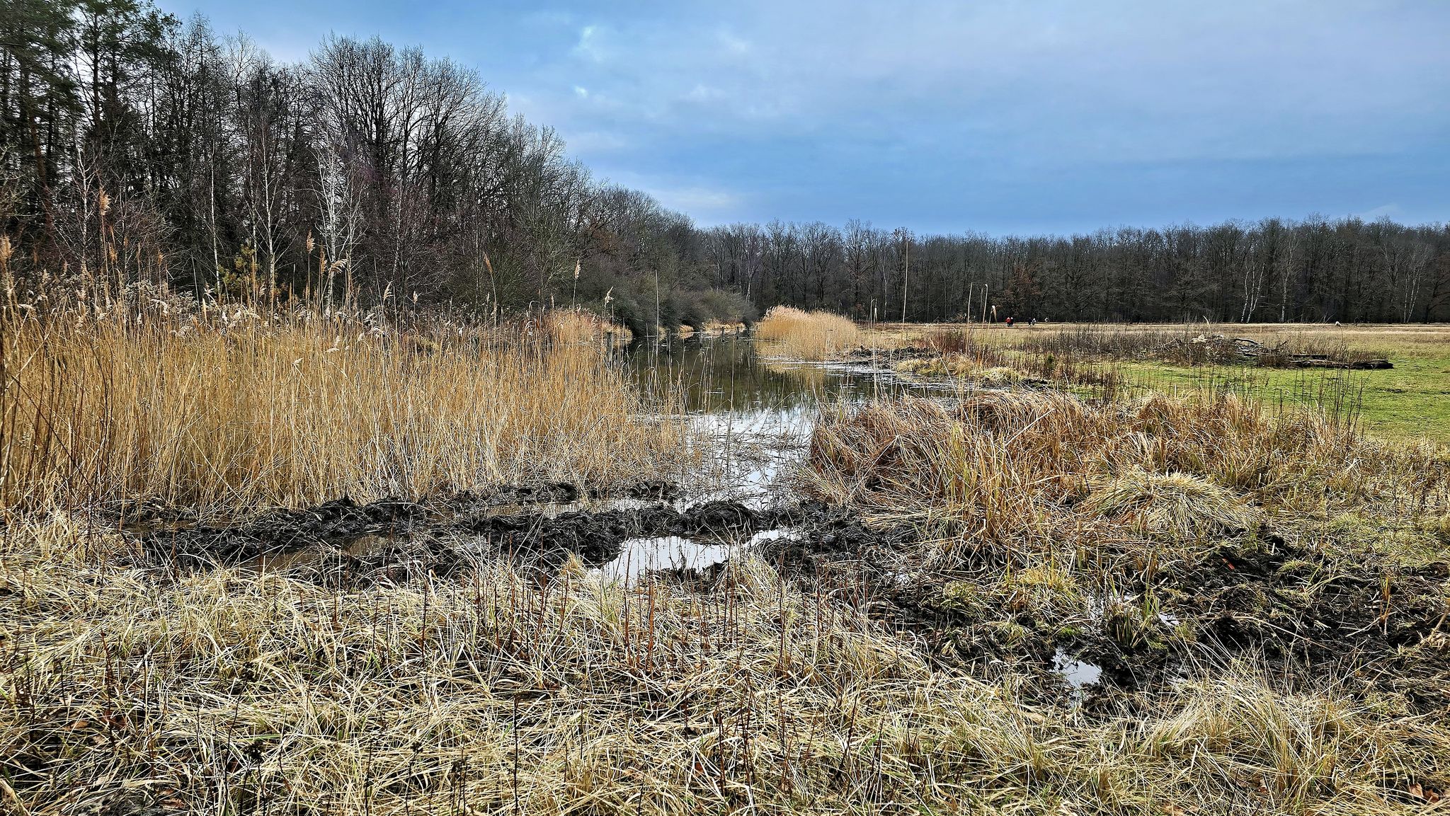 Spandauer Forst