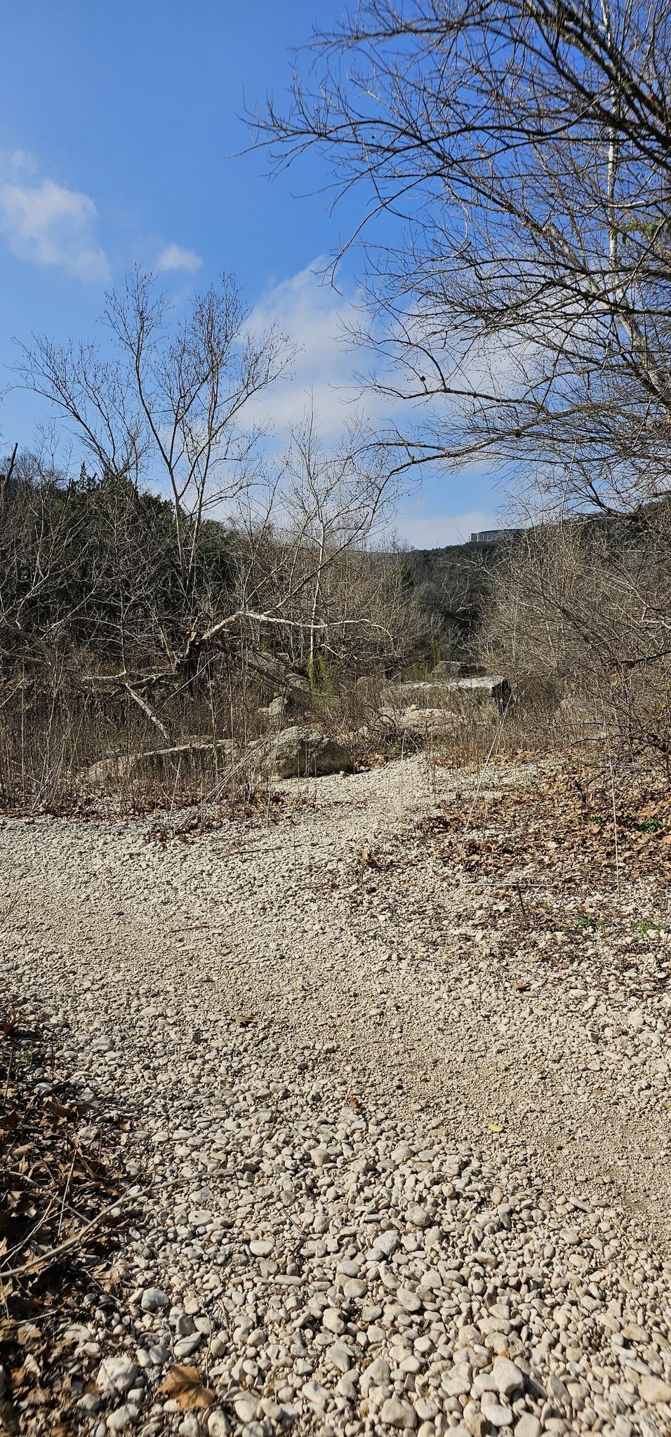 A wide, dry, rocky riverbed with bare trees under a bright sky. - Barton Creek Greenbelt Trail
