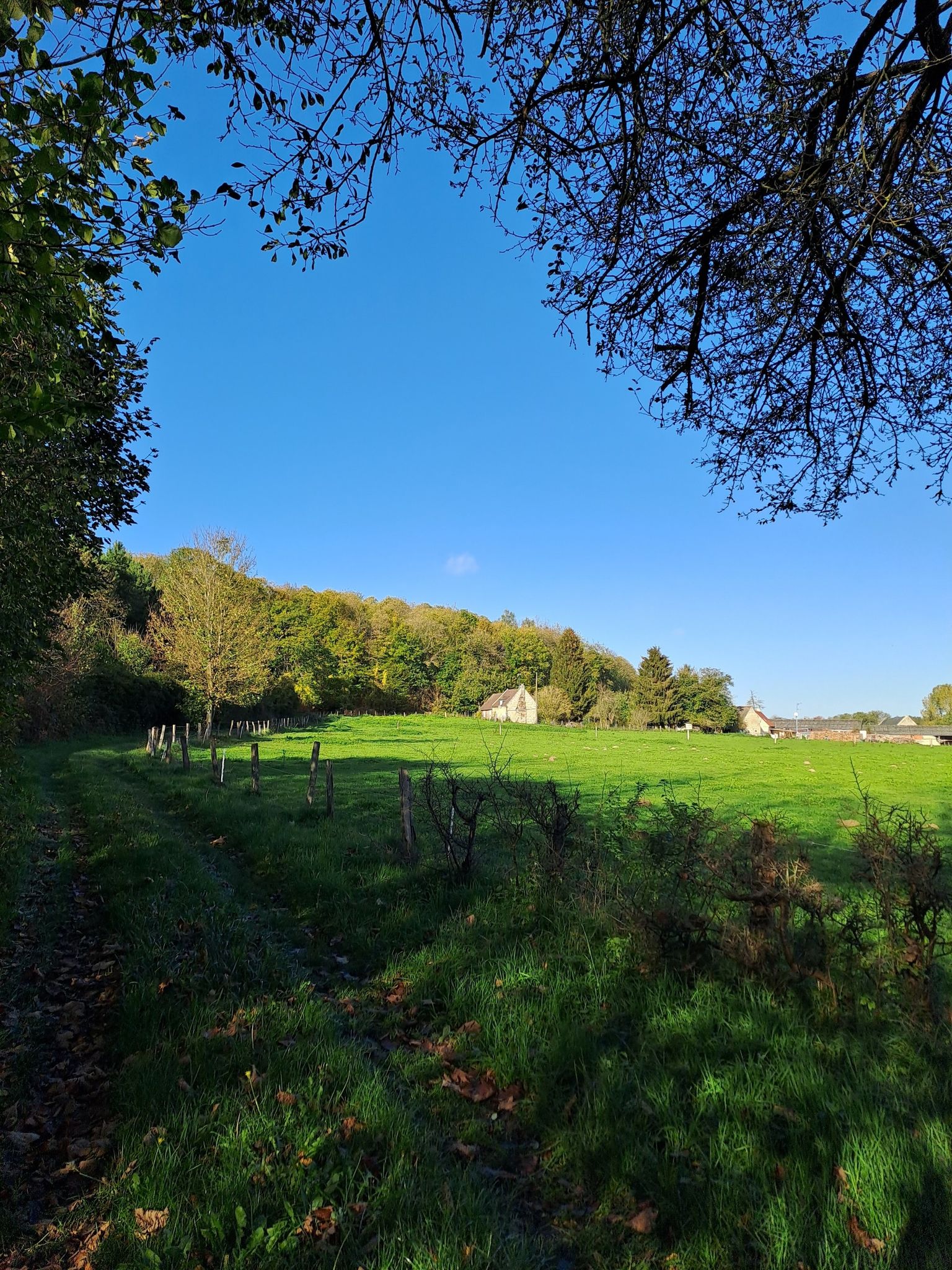nos forets et nos campagne ressourcantes