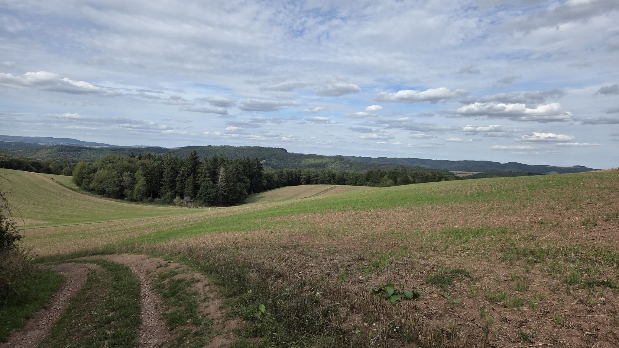 Zum Winneberg