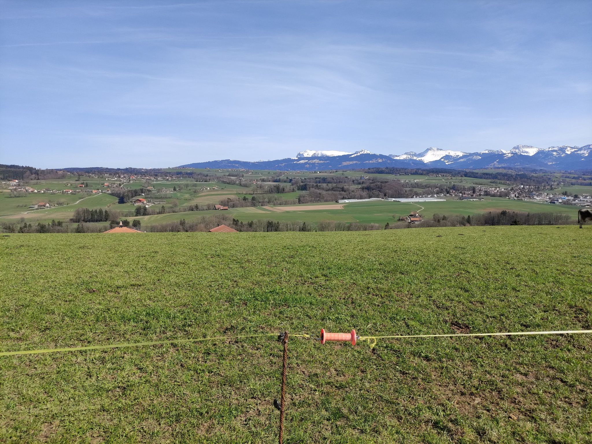 Molésob