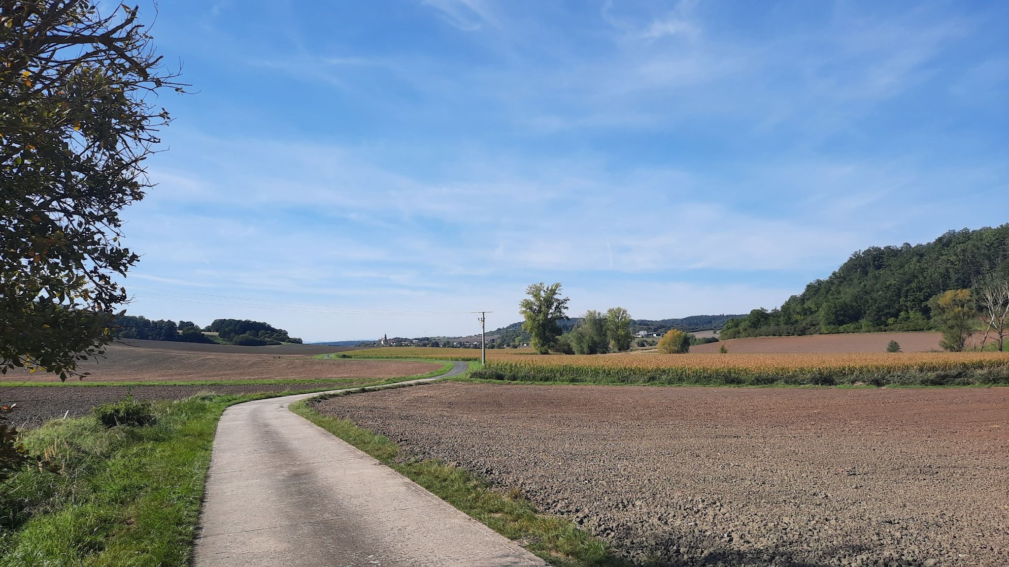 Fr. Saale-Radweg bei Alsleben