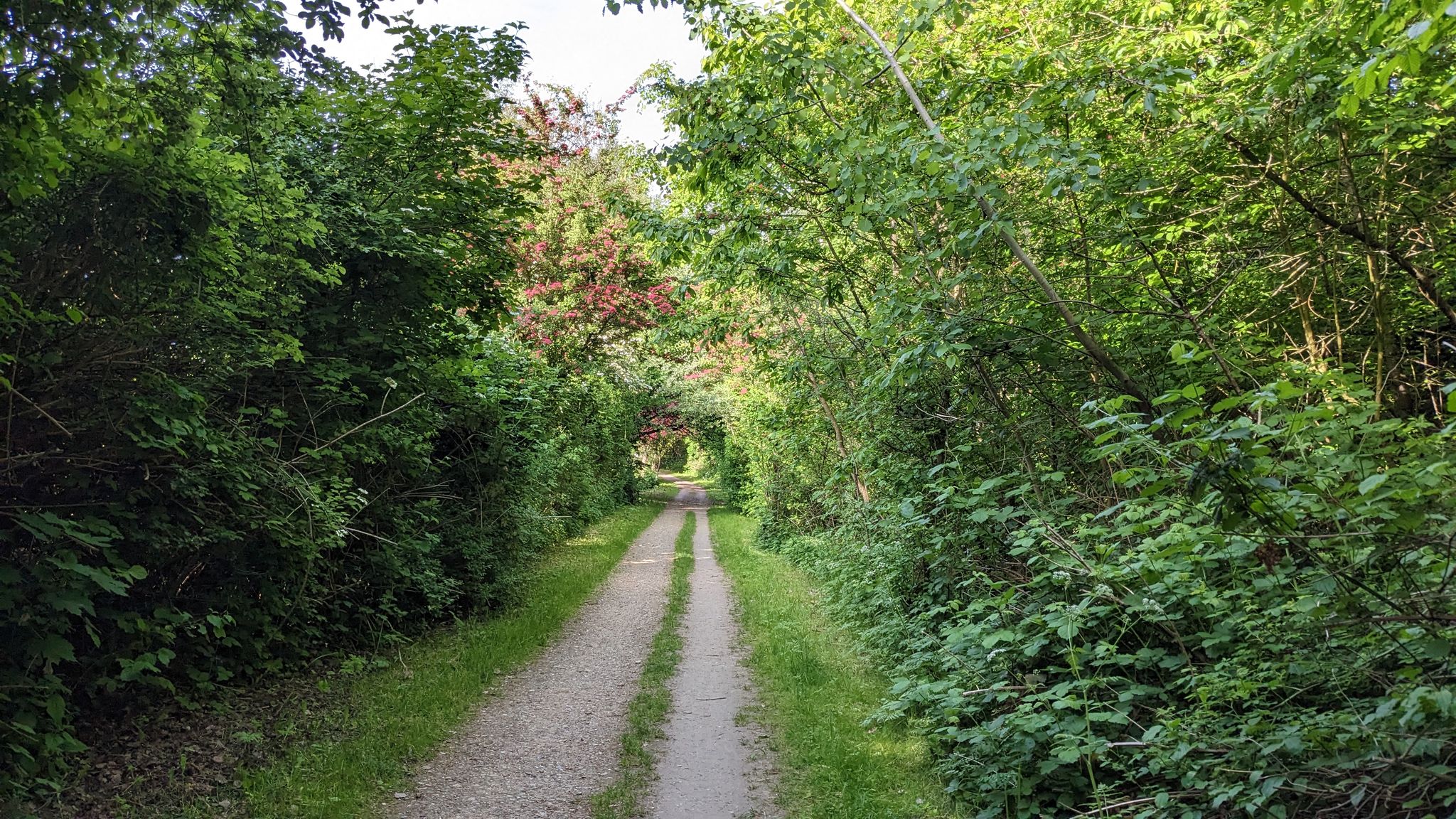 Viel Gartenweg