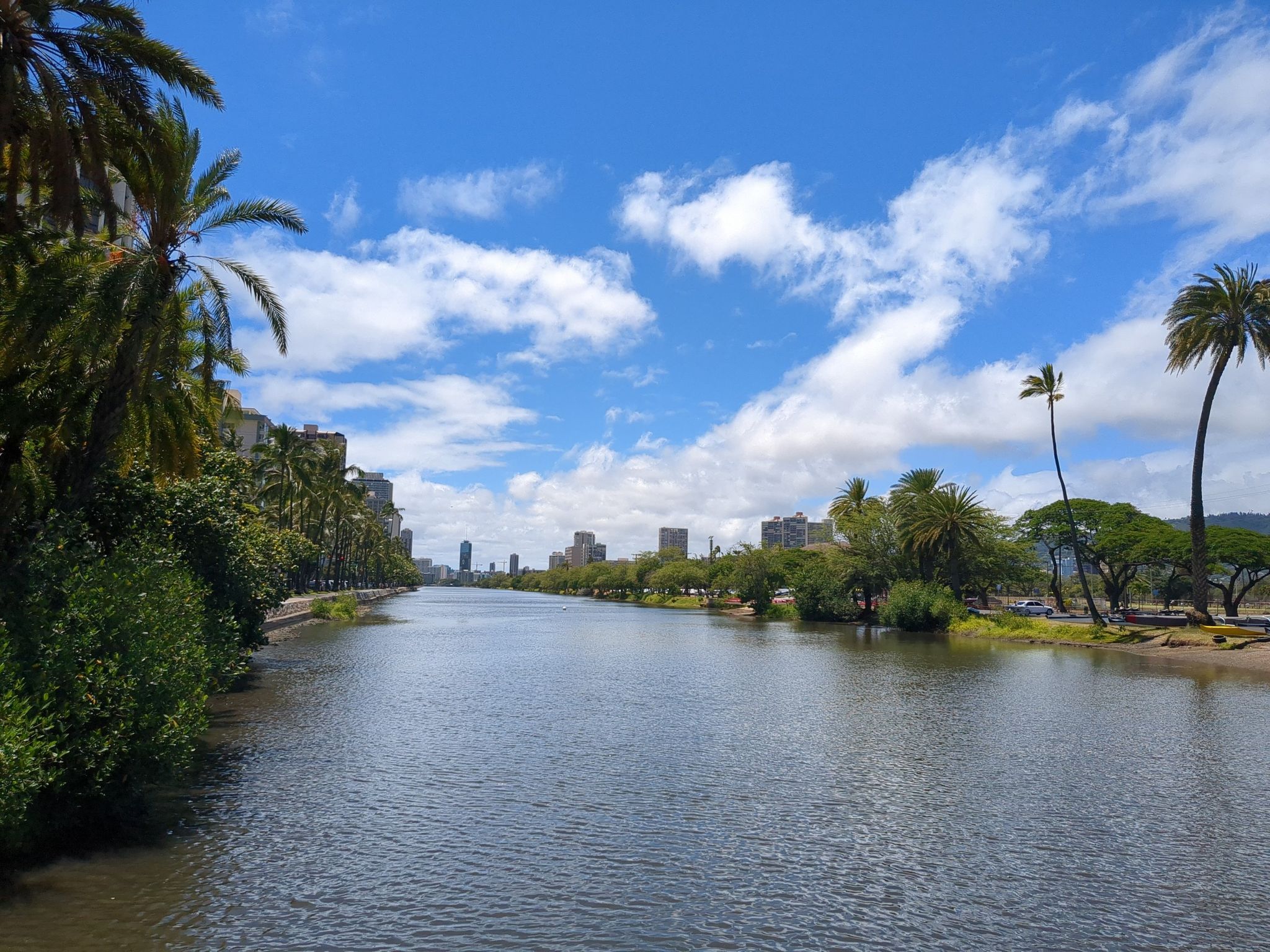 A wide waterway lined with palm trees and city buildings under a bright sky. - Ala Wai Park Trail