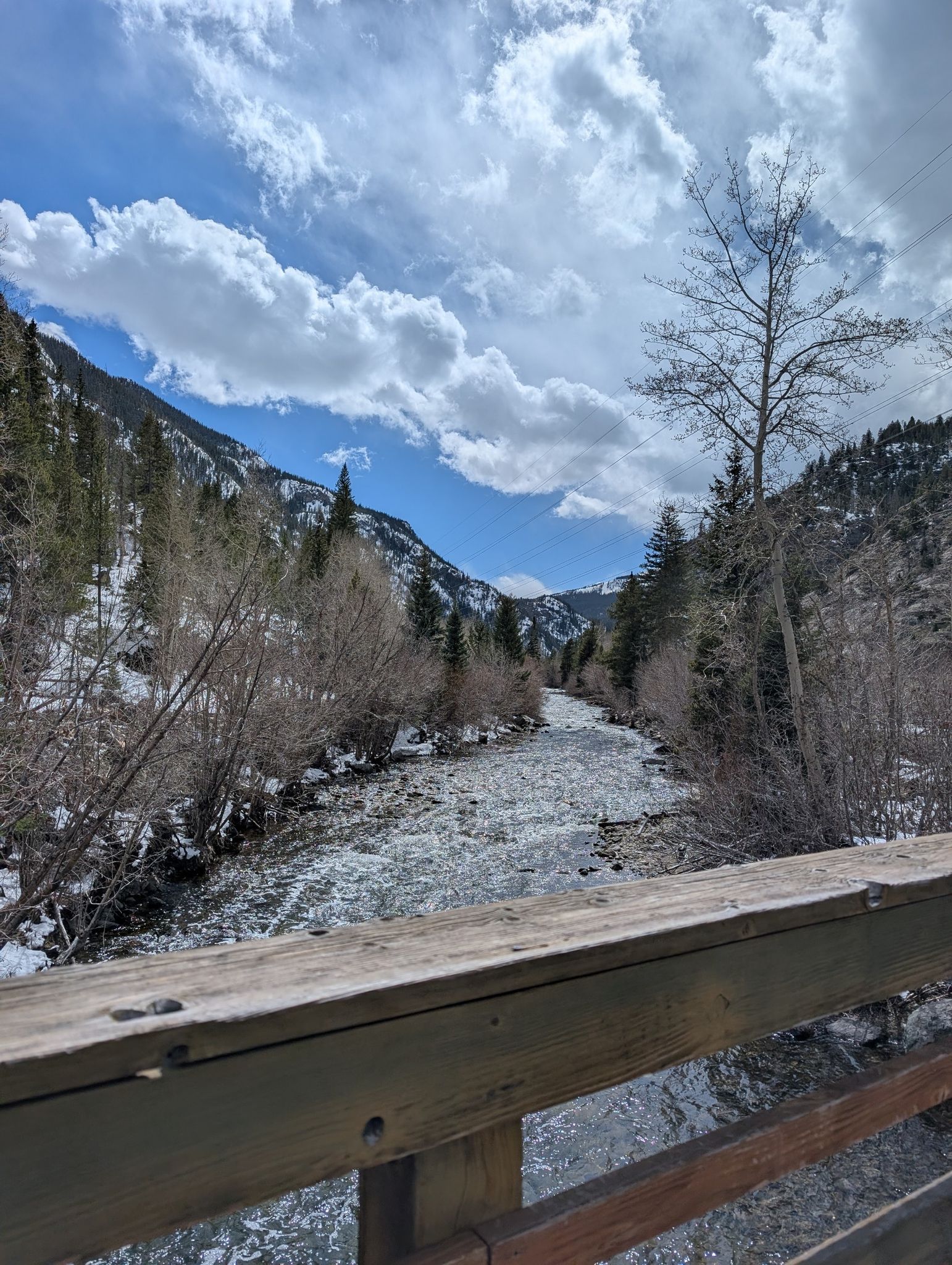 A rushing river flows through a forested valley under a cloudy sky. - Temple Trail