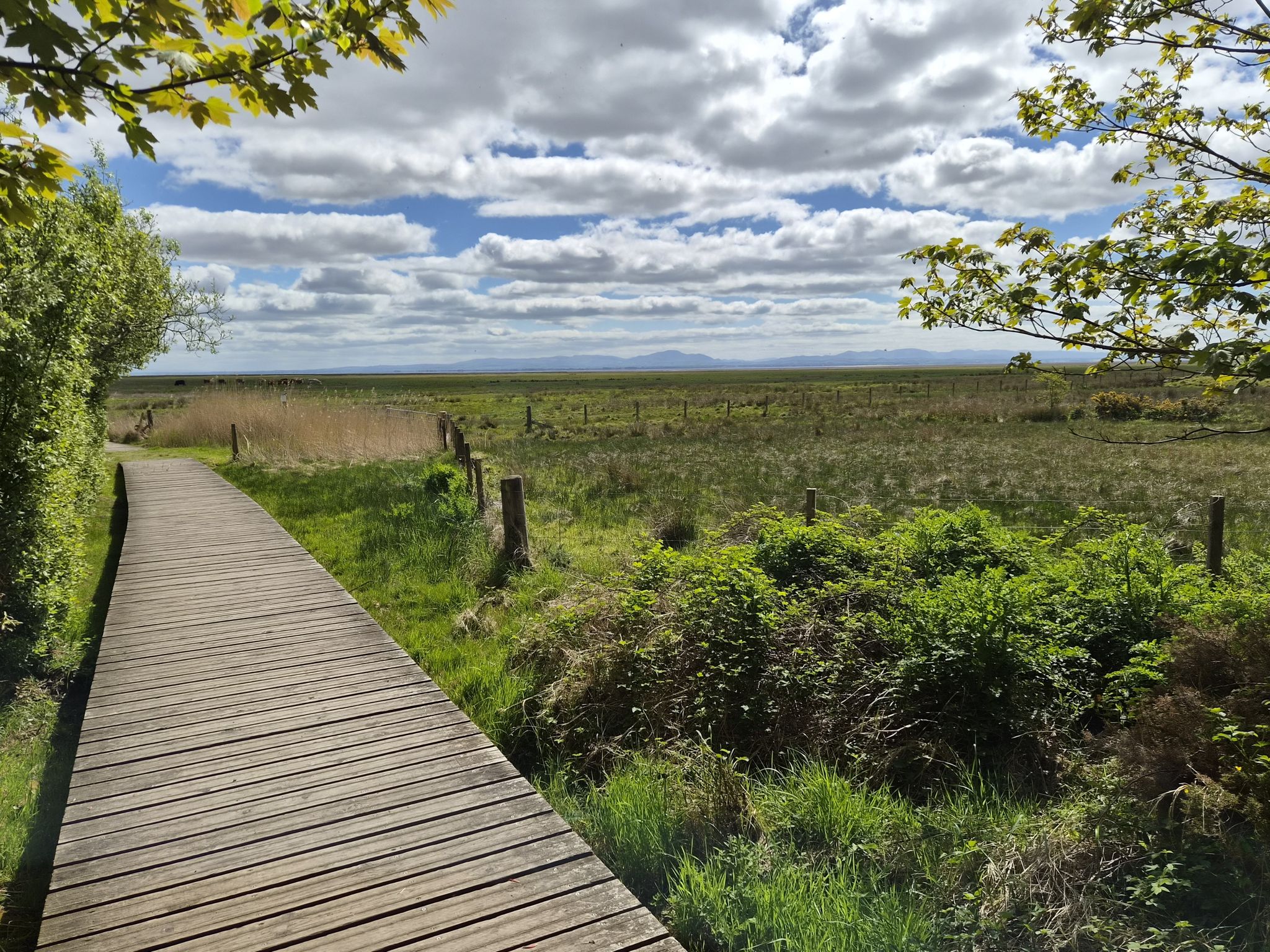 Holzsteg durch das „Caerlaverock National Nature Reserve“