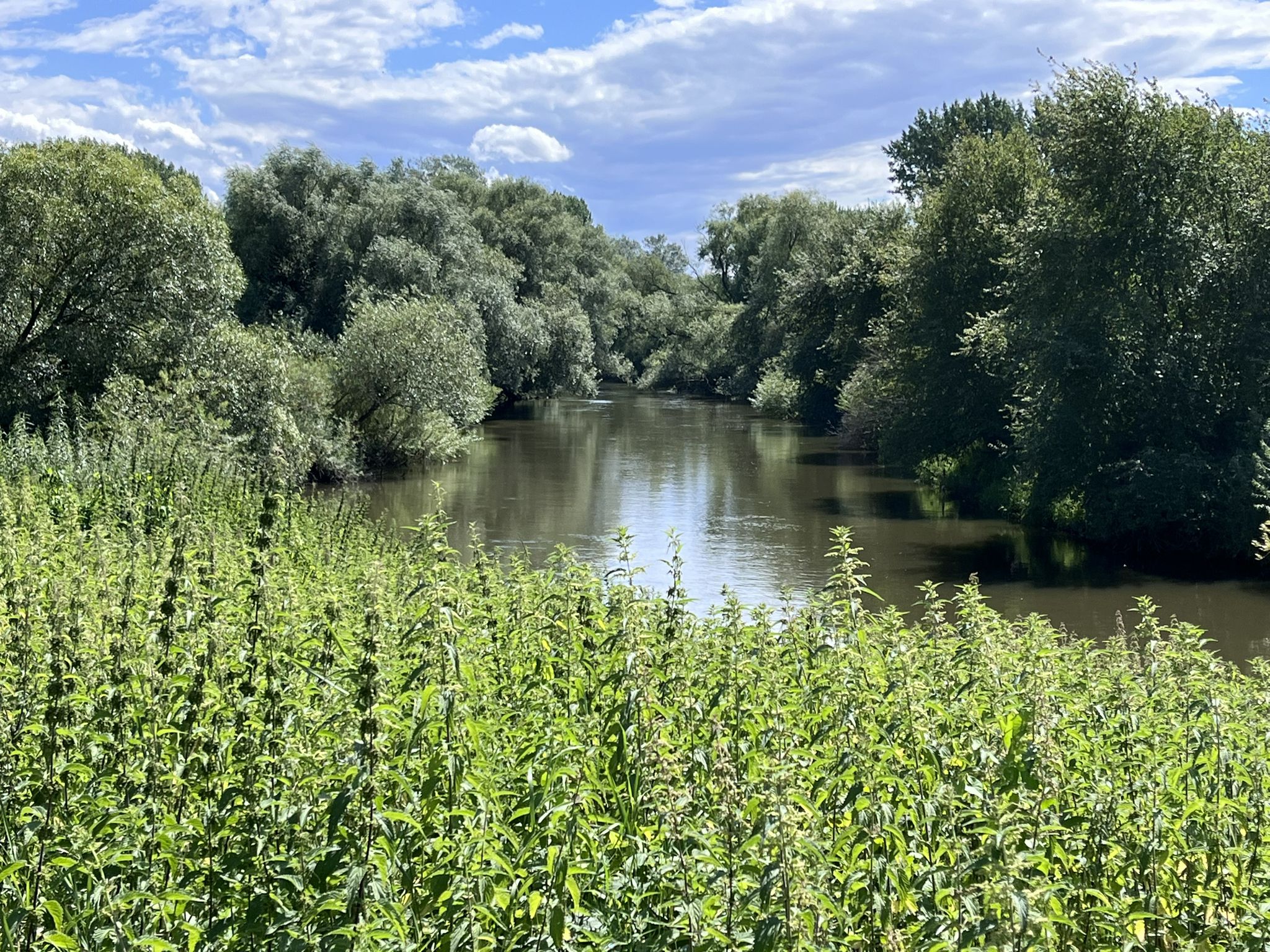 Leine bei Laatzen