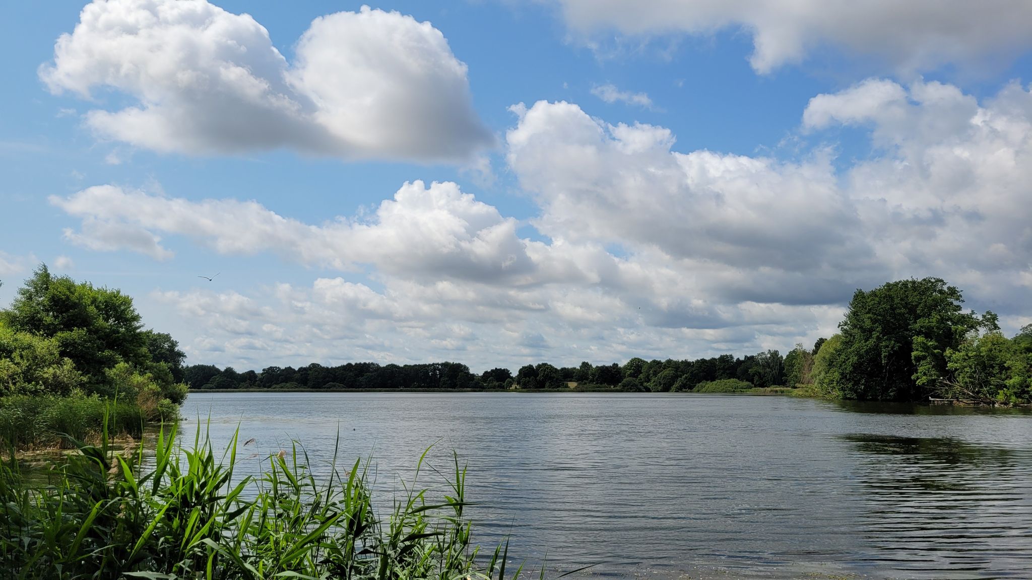 Der Große Mühlenteich