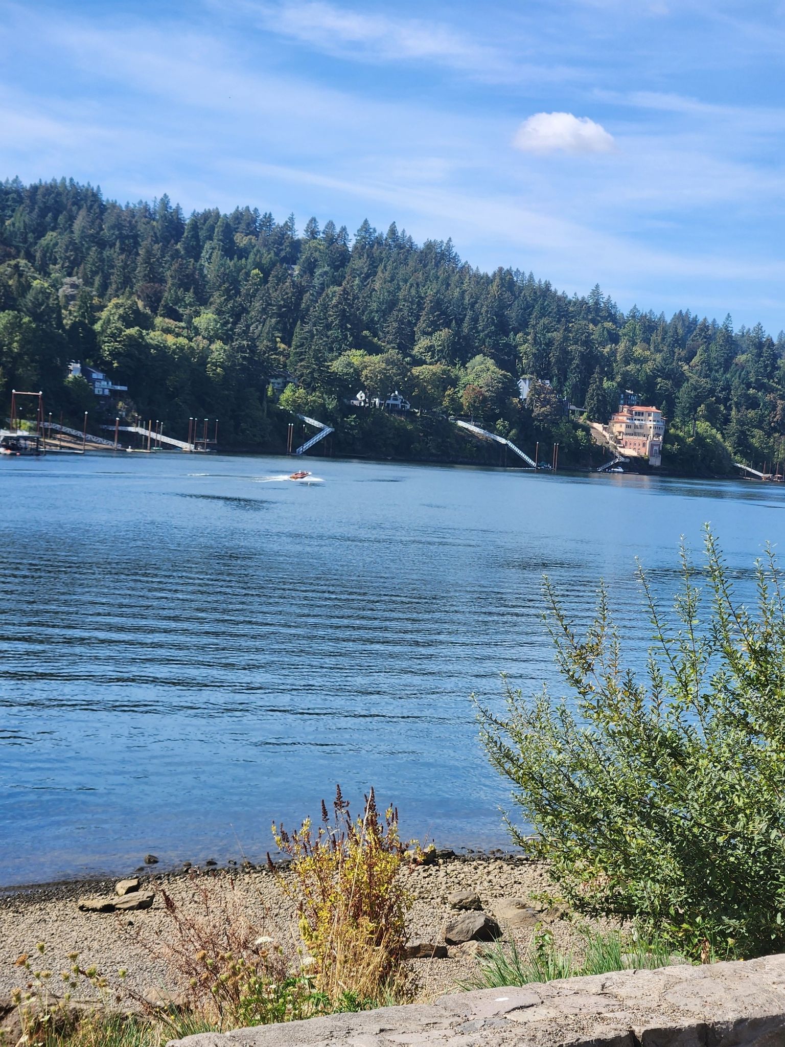 Sunny river with forested hills, buildings, and a small boat moving. - Trolley Trail