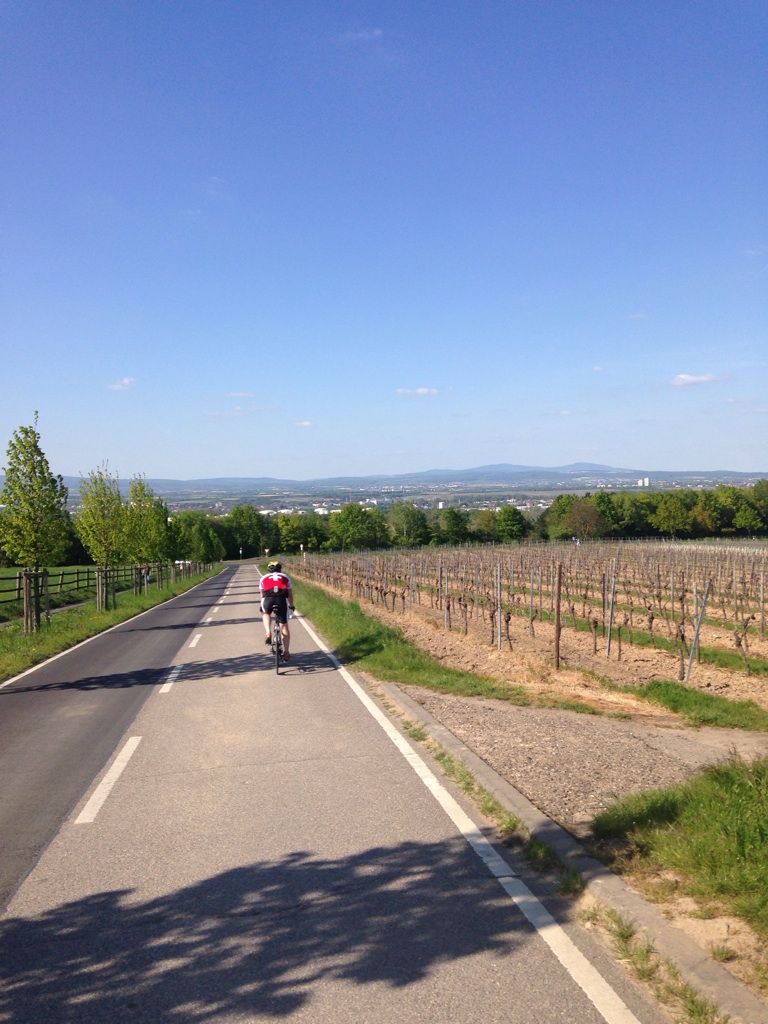 Top 10 Most Beautiful Road Biking Routes around Wiesbaden Komoot