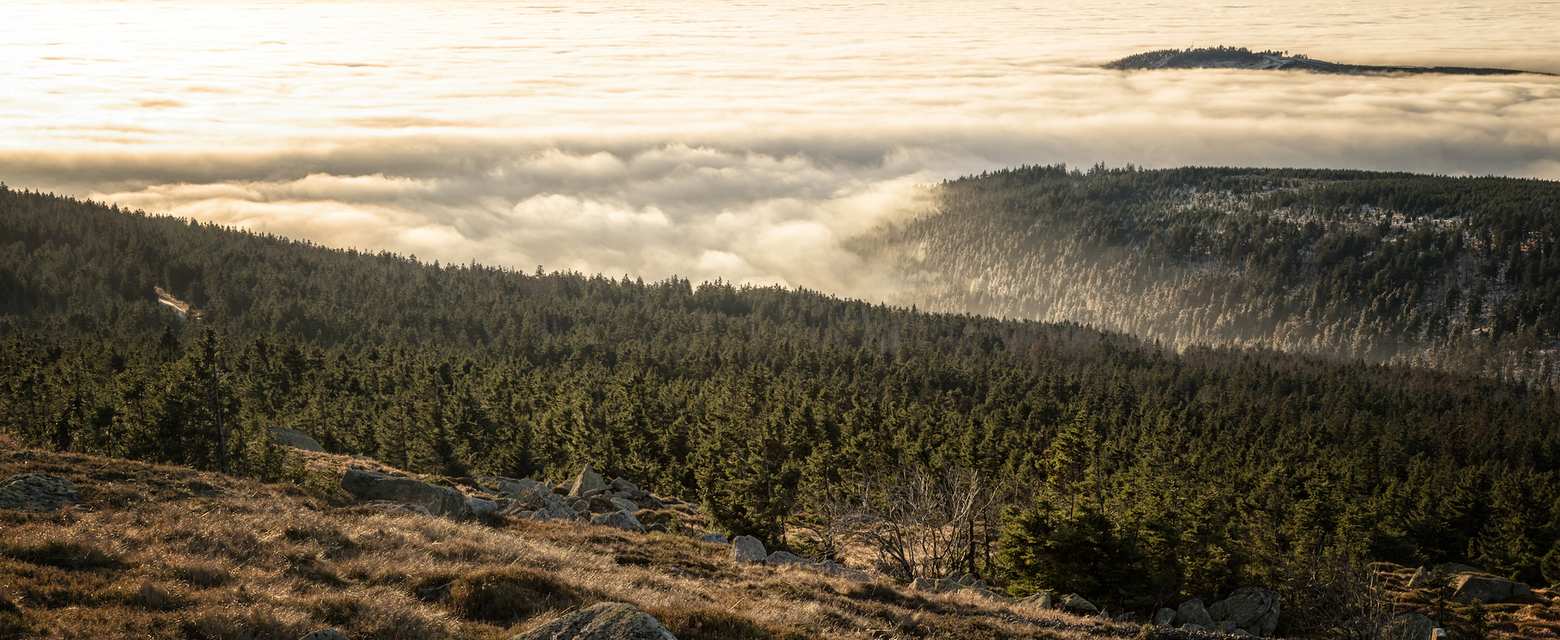 Die 10 schönsten Wanderungen im Harz | Komoot