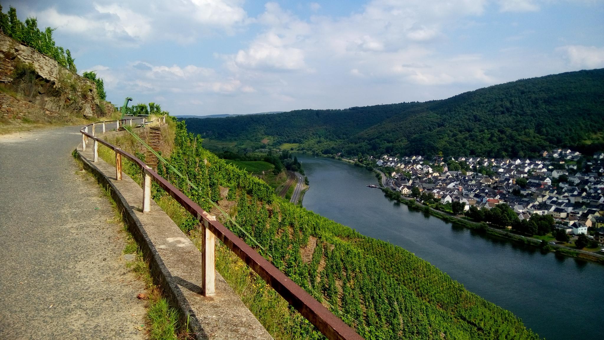 Top 5 Bike Rides And Cycling Routes Around Koblenz | Komoot