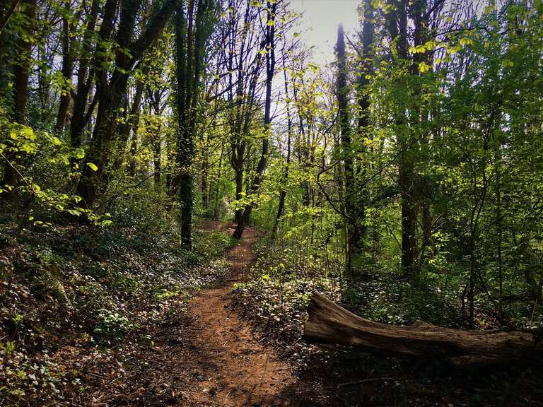 bristol mountain bike trails