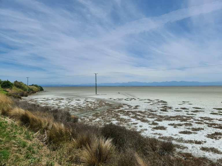 Top 10 Running Trails in Nelson | Komoot