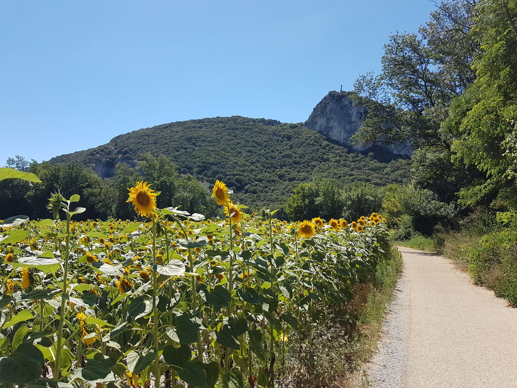 parcours tour de france ardeche