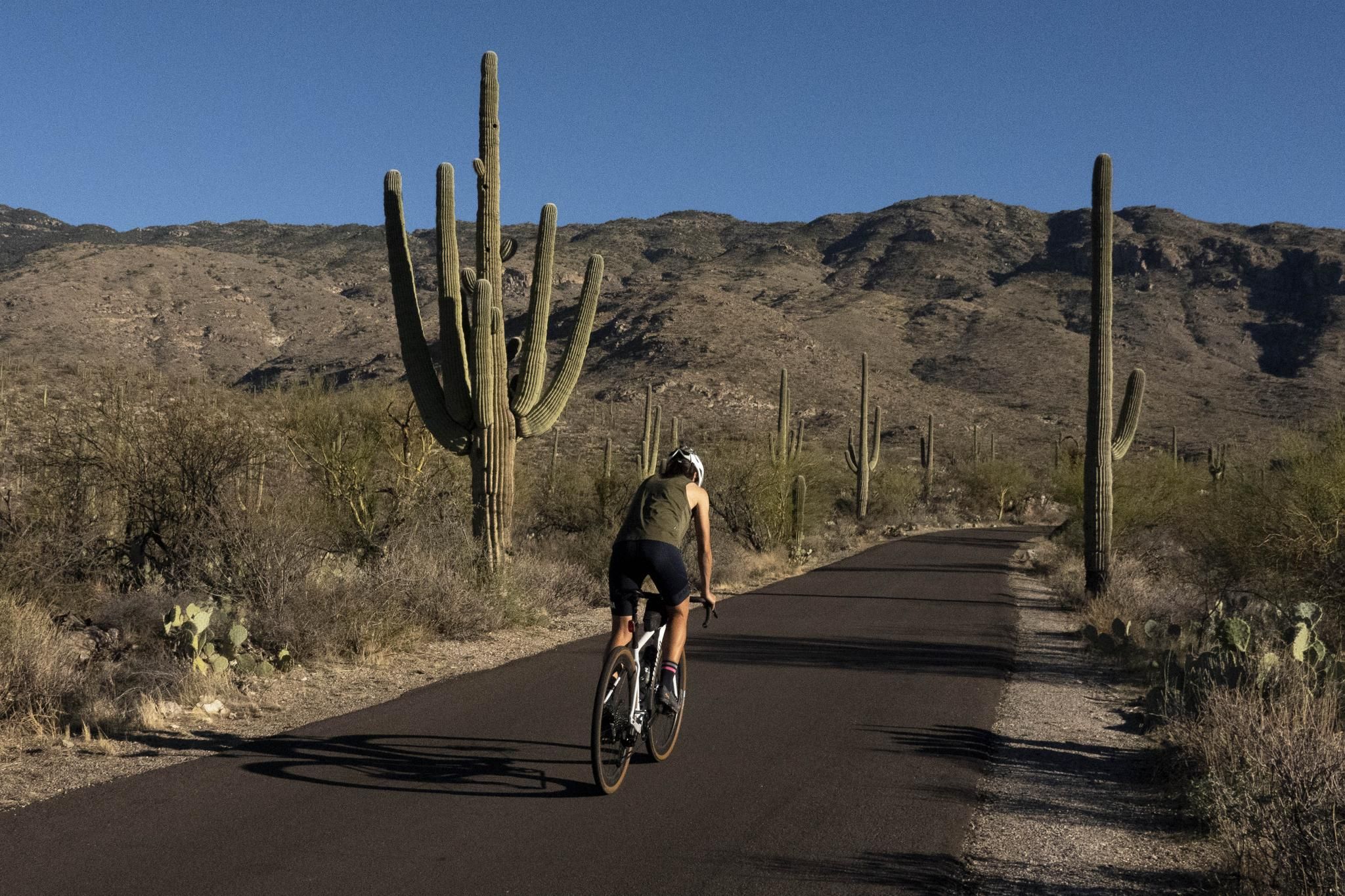 Top 10 Most Beautiful Road Biking Routes in Arizona Komoot