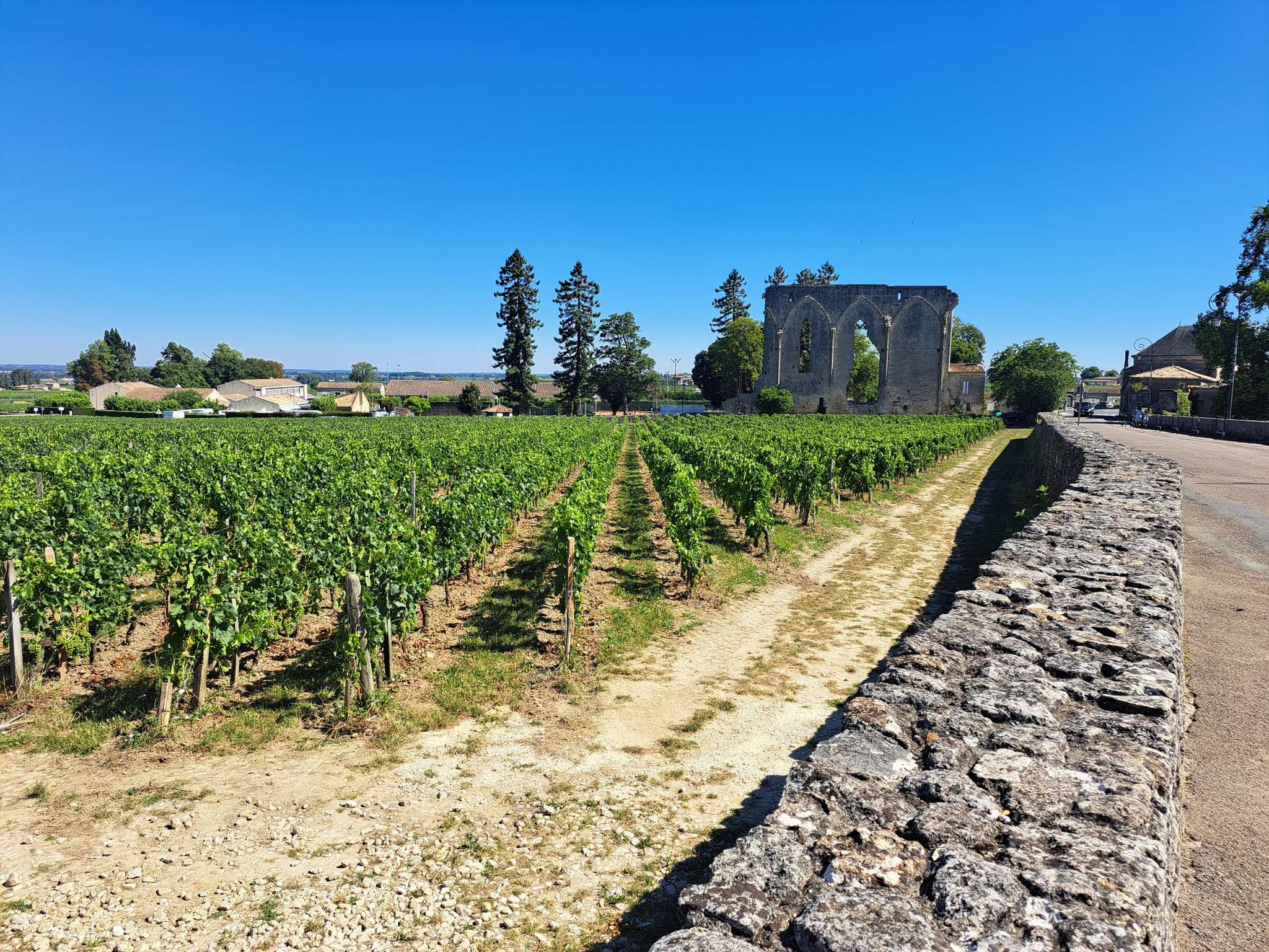 Top 10 Bike Rides and Cycling Routes around Montagne | Komoot
