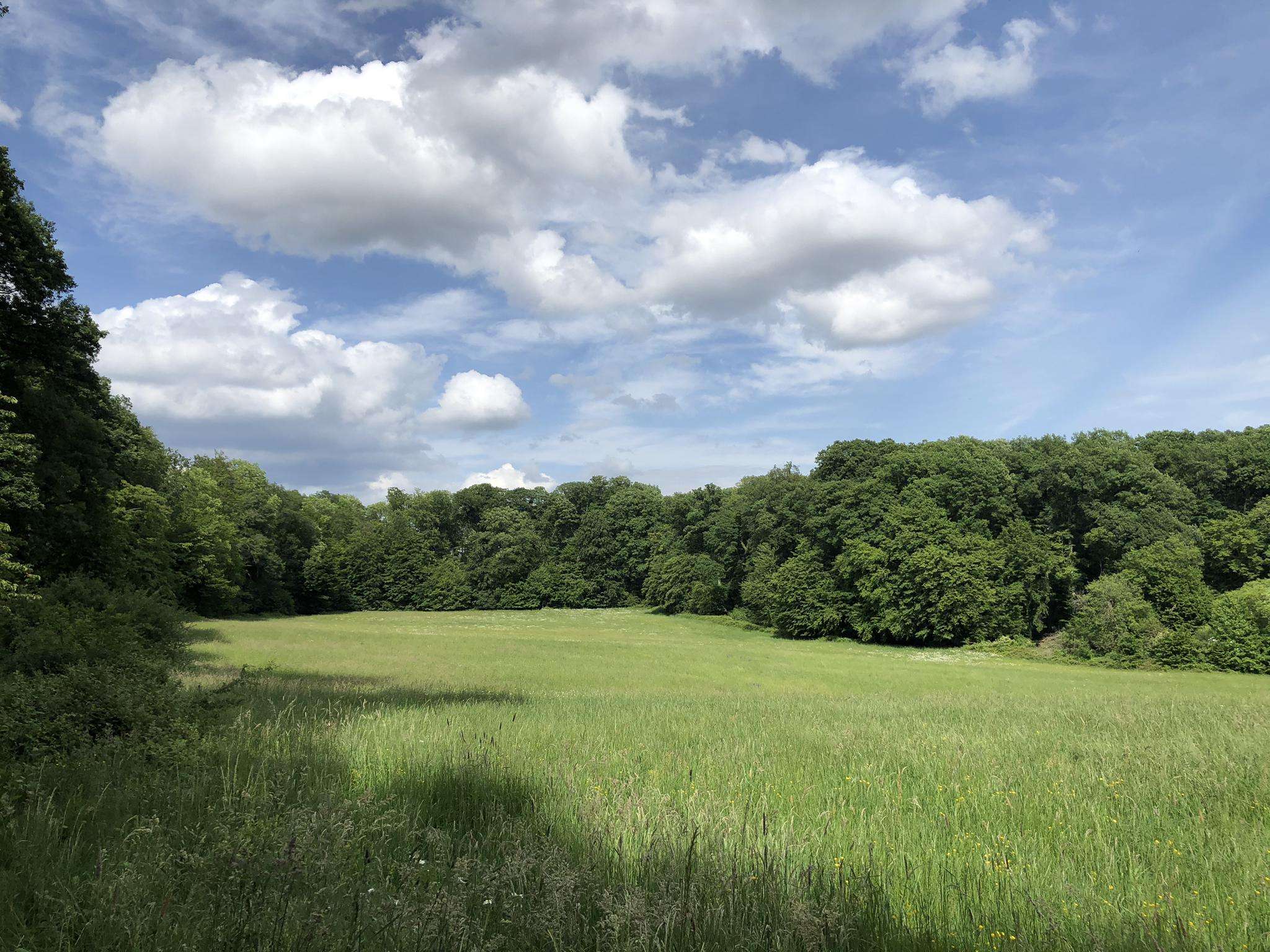 Görsdorf Nature Reserve