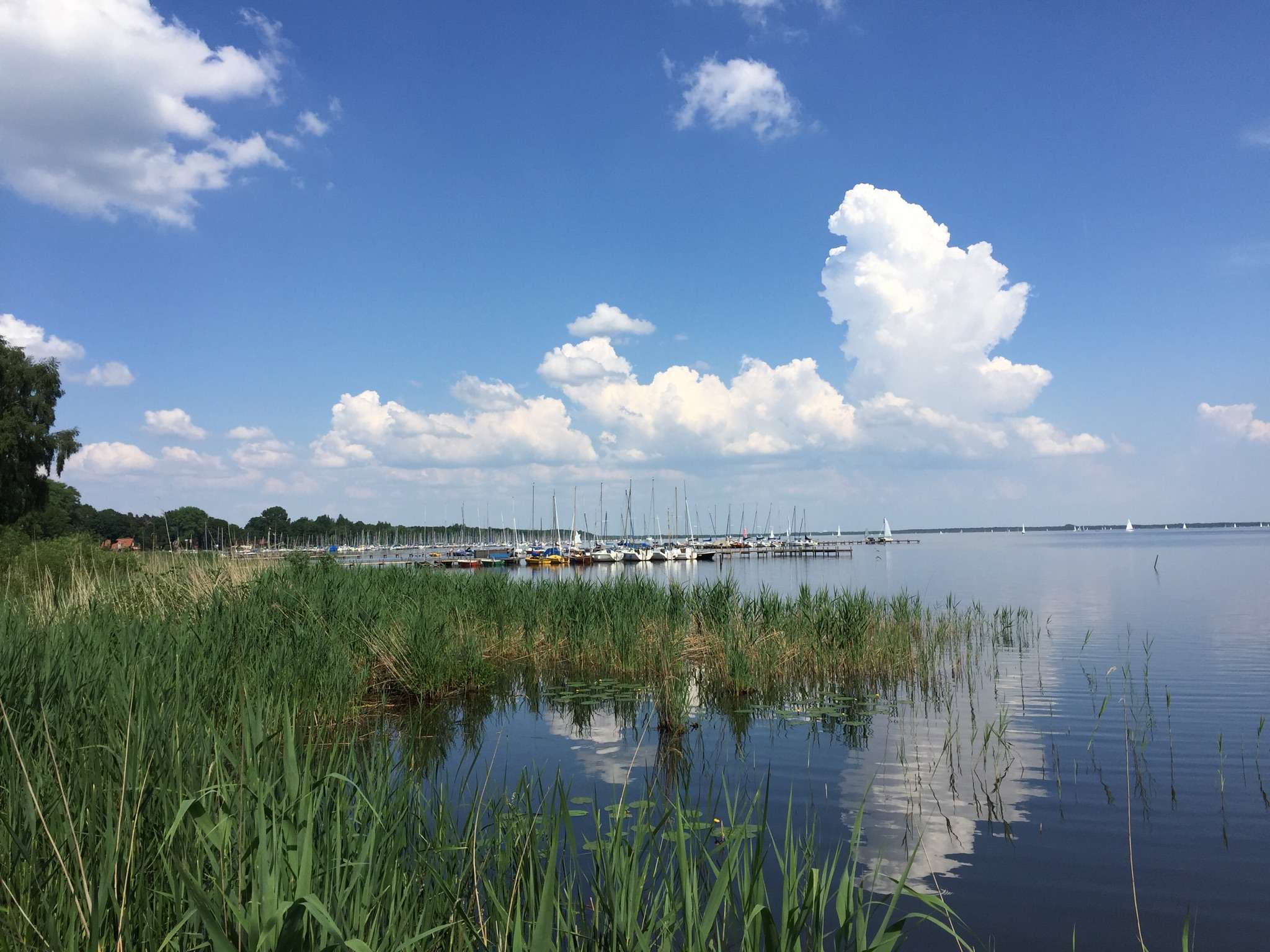 Top 10 Hikes and Walks around Lake Steinhude | Komoot